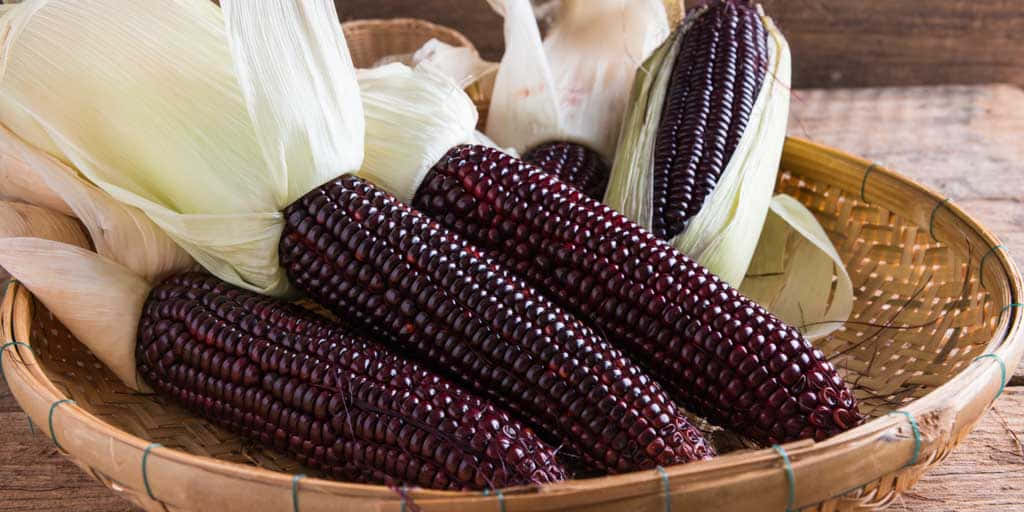 Purple Corn 桌布 壁紙 — 一個籃子裡裝著帶有淺色外皮的亮澤深紫色玉米，放在質樸的木質表面上。