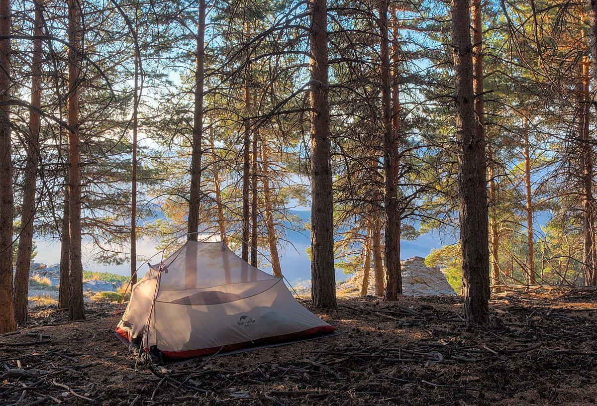 Camping 桌布 壁紙 — 一個米色帳篷 nestled 在高大的松樹之間，穿過森林可以看到寧靜的湖泊，正值黃金時刻。