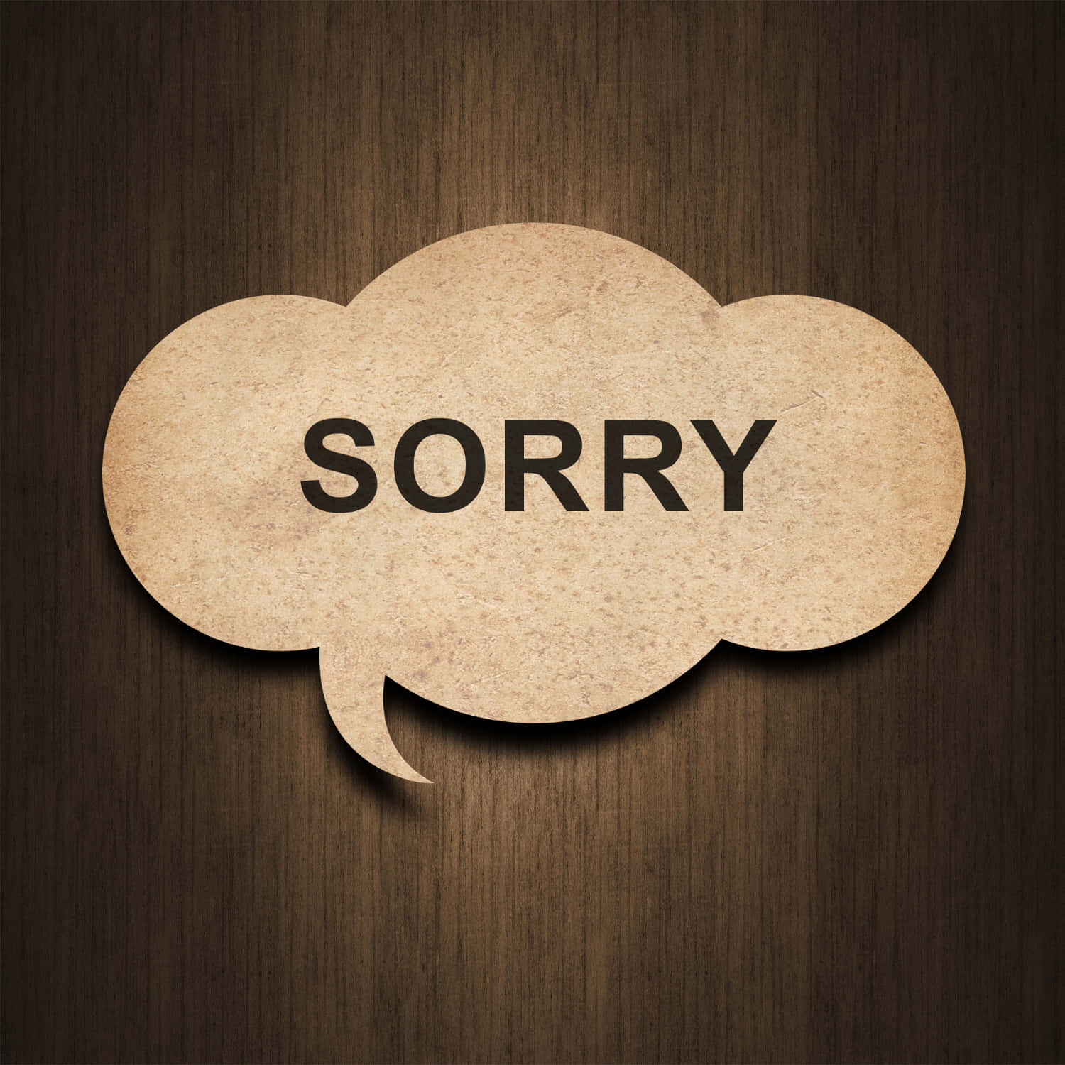 text 桌布 壁紙 — 一個米色紋理對話氣泡，上面有粗體黑色字母SORRY，放置在深色木質表面上。