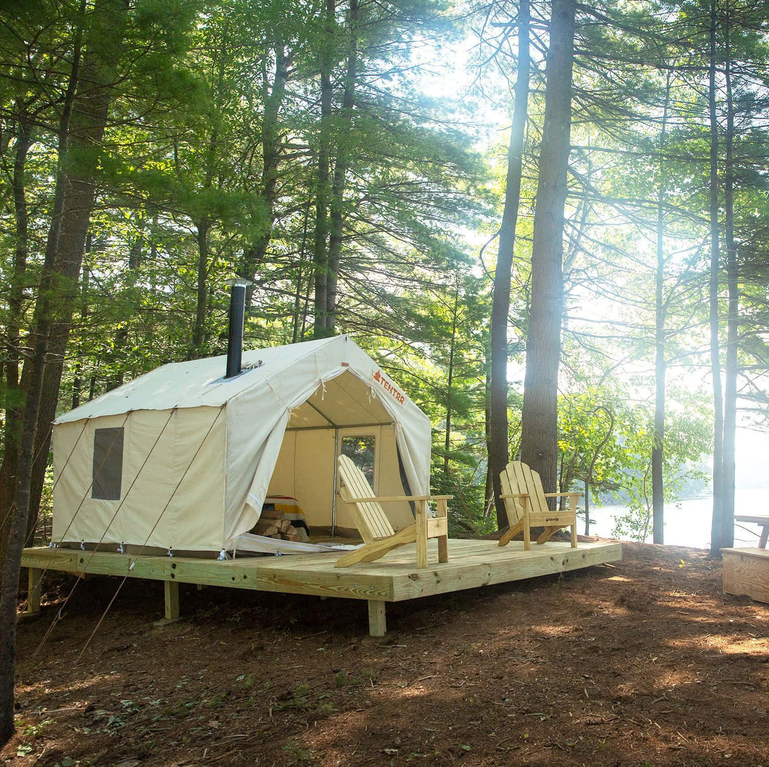Winter Camping 桌布 壁紙 — 一個米色豪華露營帳篷位於木製平台上，坐落在高大的松樹之間，陽光穿過樹冠灑落。