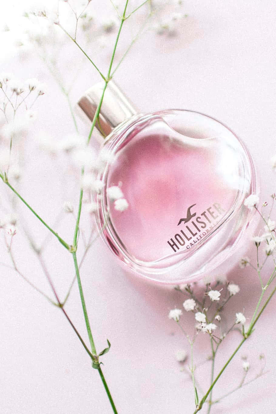 hollister 桌布 壁紙 — 一個粉紅色Hollister香水瓶，周圍環繞著精緻的滿天星花朵，背景為柔和粉紅色。
