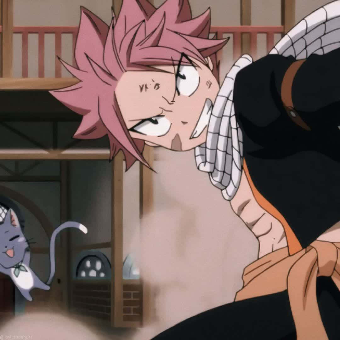 Natsu 桌布 壁紙 — 一個粉紅色尖刺頭髮的動漫男孩，帶著堅定的表情，在一個木製房間裡向前傾，附近有一隻貓。
