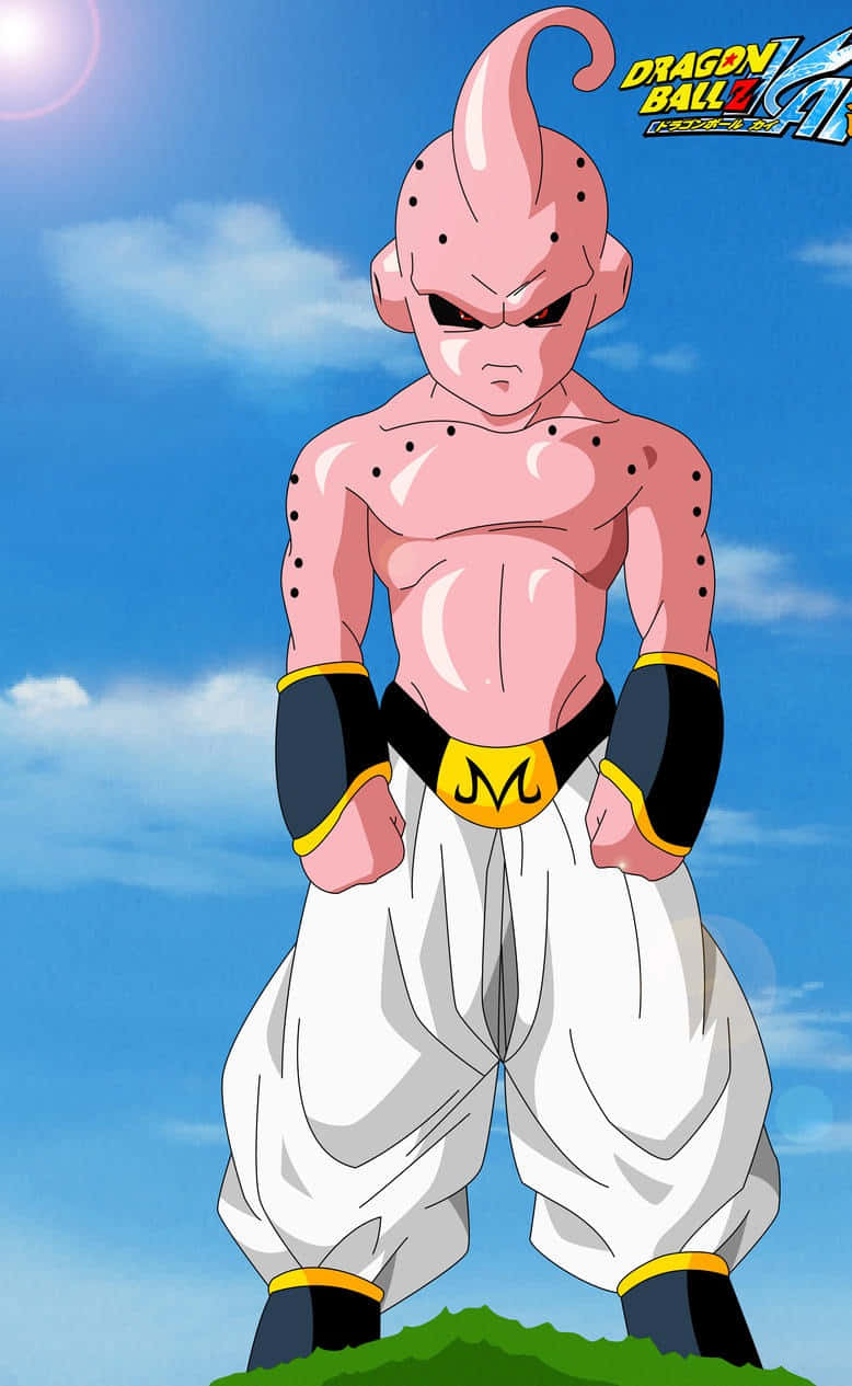Buu Saga 桌布 壁紙 — 一個粉紅色皮膚的動漫角色，帶有彎曲的角，在藍天白雲下的草地上挑釁地站立。