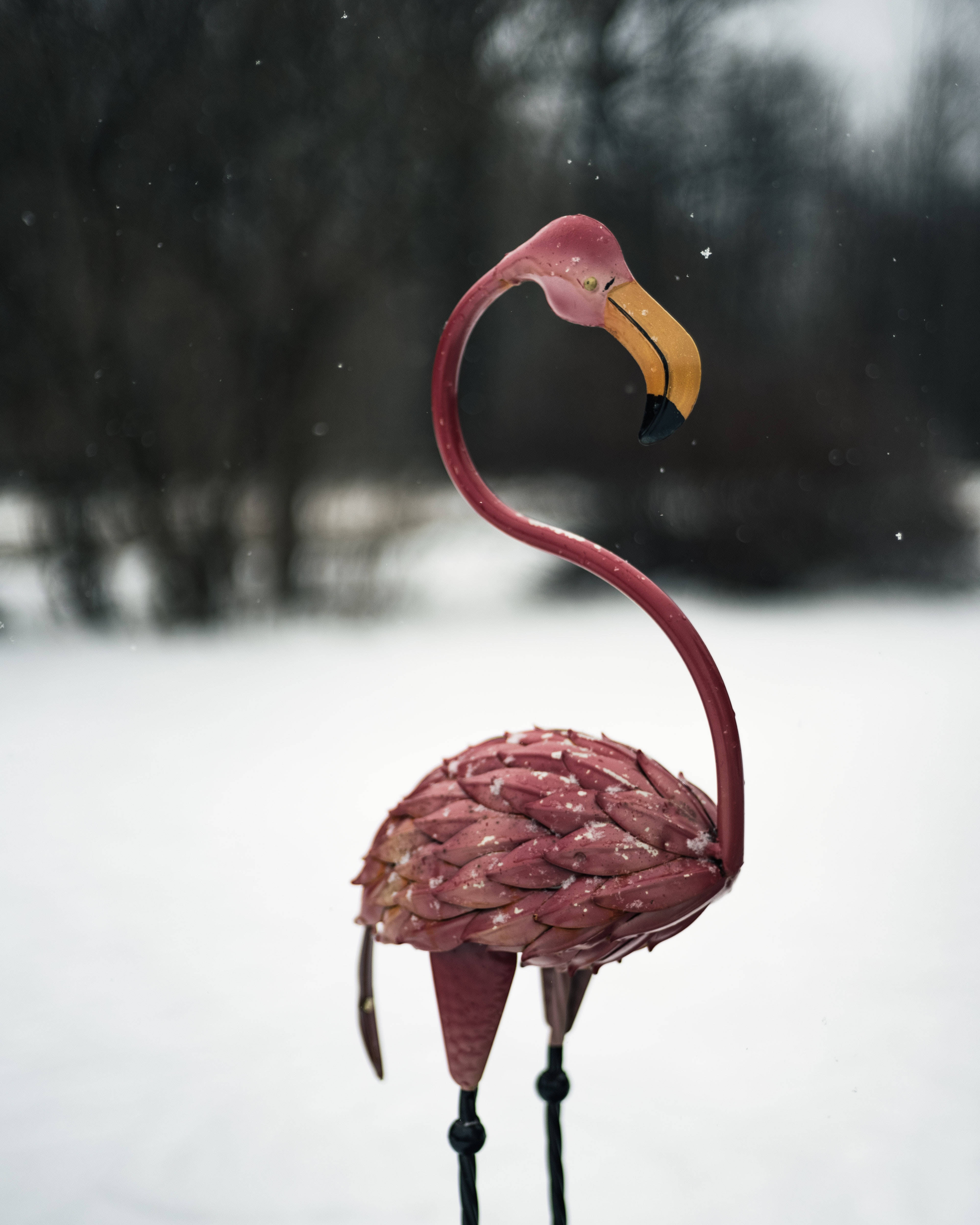 酷寒冬季 桌布 壁紙 — 一個粉紅色金屬火鶴花園裝飾品立在雪地庭院中，背景有飄落的雪花和模糊的深色樹木。