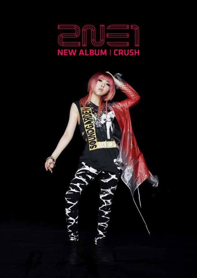 2ne1 桌布 壁紙 — 一個粉紅色頭髮的人自信地擺姿勢，身穿紅色外套和黑白圖案褲子，背景為黑色，帶有發光的紅色文字。