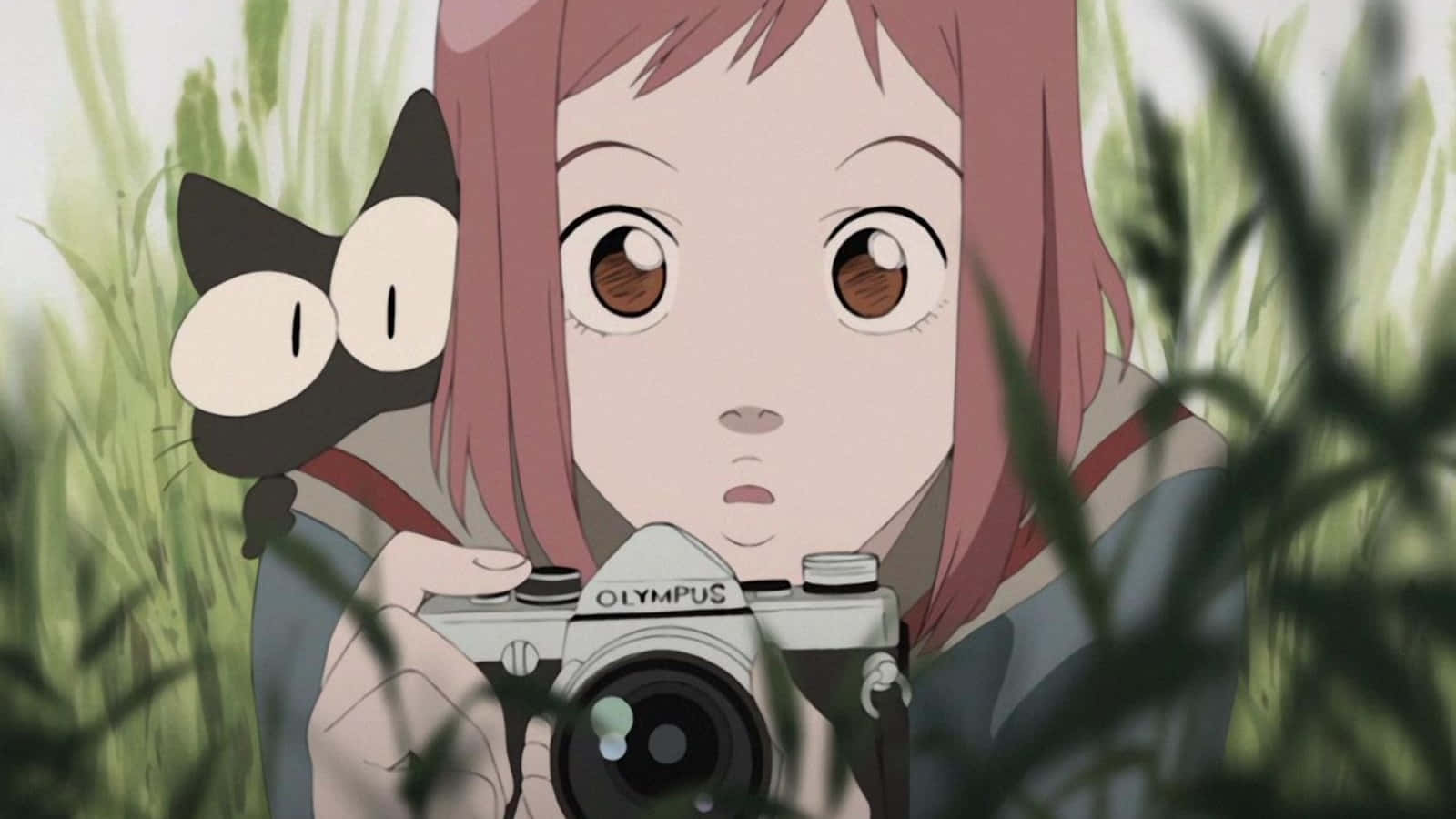 Flcl 桌布 壁紙 — 一個粉紅色頭髮的動漫女孩，身後有一隻黑貓在偷看，在高高的綠草中拿著一部銀色相機。