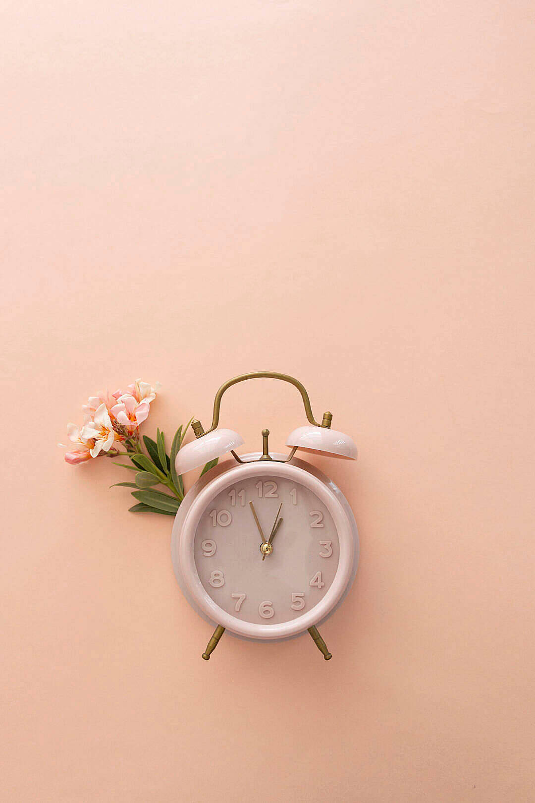 Clock 桌布 壁紙 — 一個粉紅色鬧鐘配黃銅鈴鐺，旁邊有精緻的桃花，背景是柔和的粉紅色。