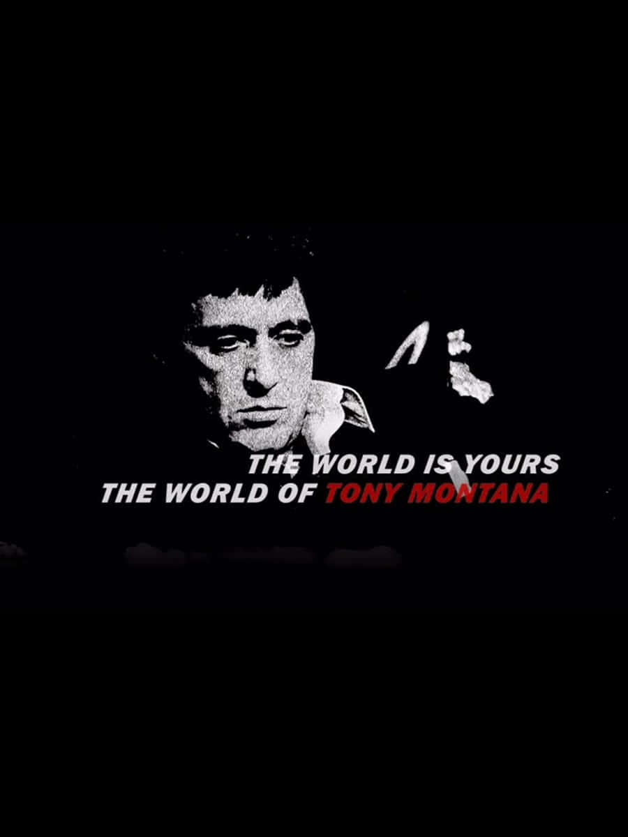 tony montana 桌布 壁紙 — 一個粗糙的黑白肖像，東尼·蒙大拿，以粗體文字在黑暗背景上宣示「THE WORLD IS YOURS」。