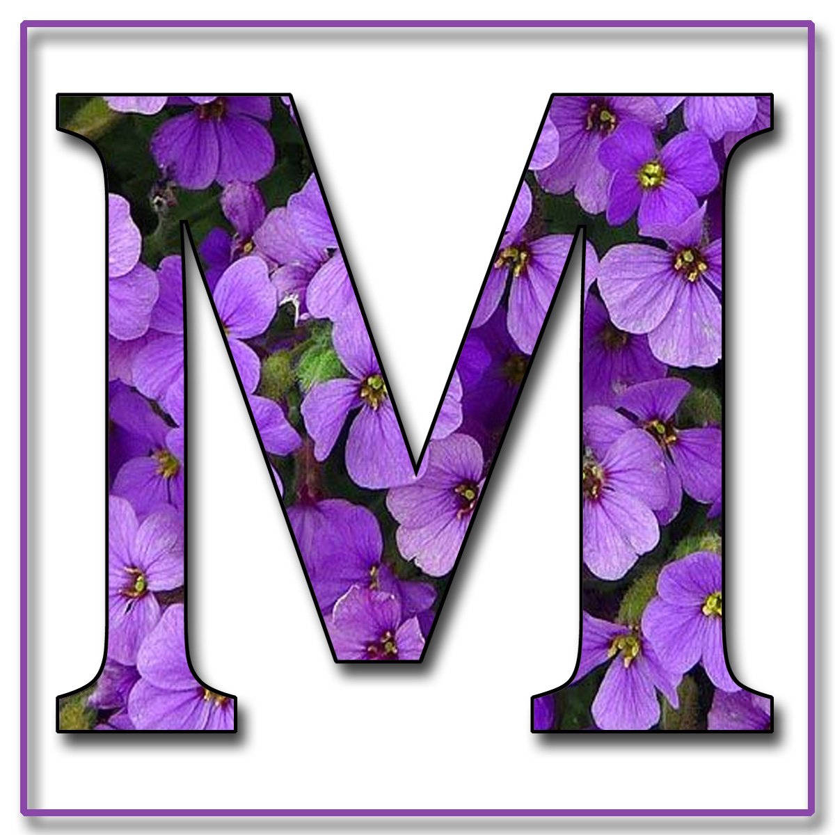 m 桌布 壁紙 — 一個粗體字母 M，裡面充滿了鮮豔的紫色花朵和綠色莖，背景為白色。