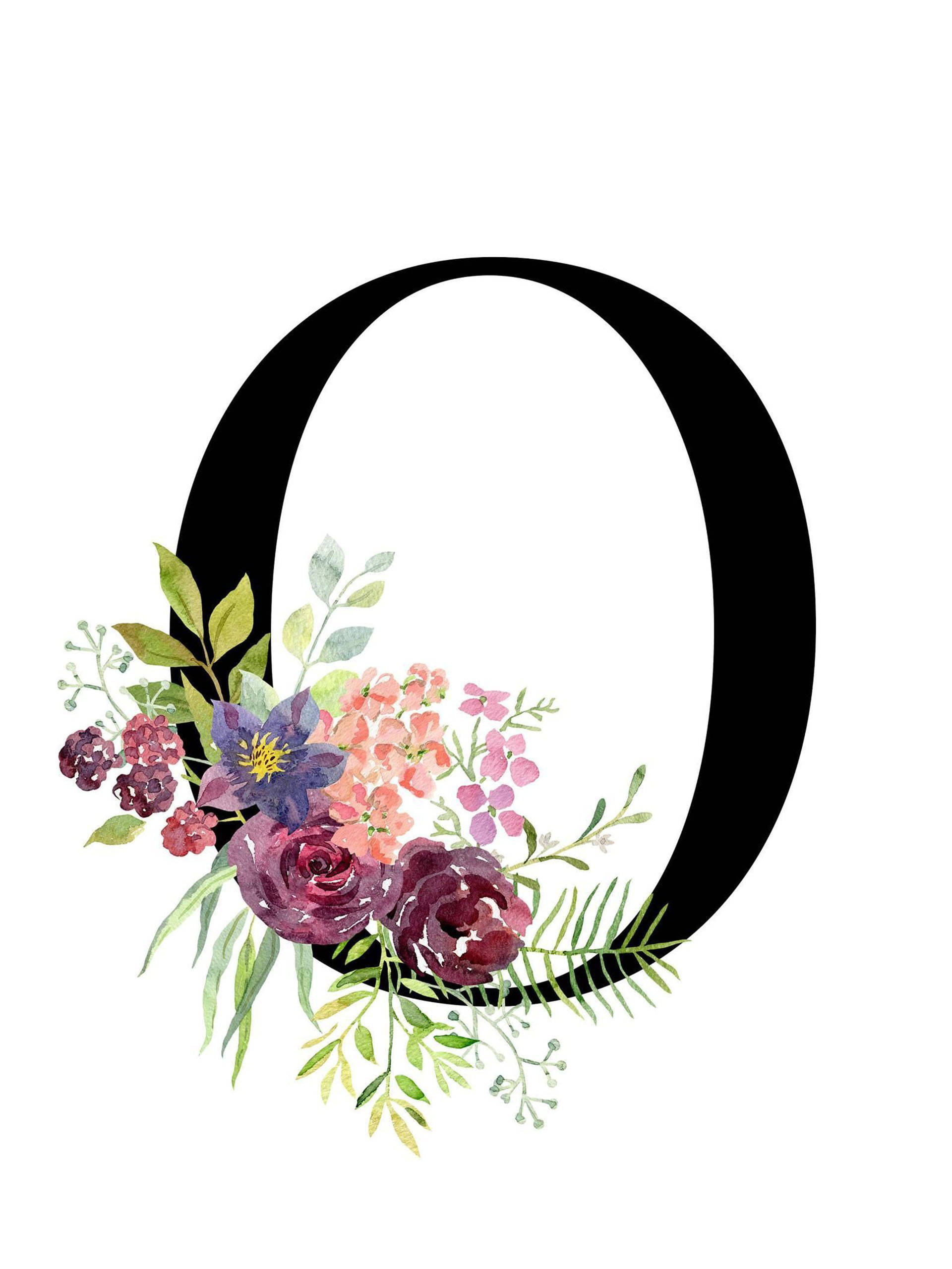 o 桌布 壁紙 — 一個粗體黑色字母 O，飾有玫瑰、繡球花和綠植的水彩花卉佈置。