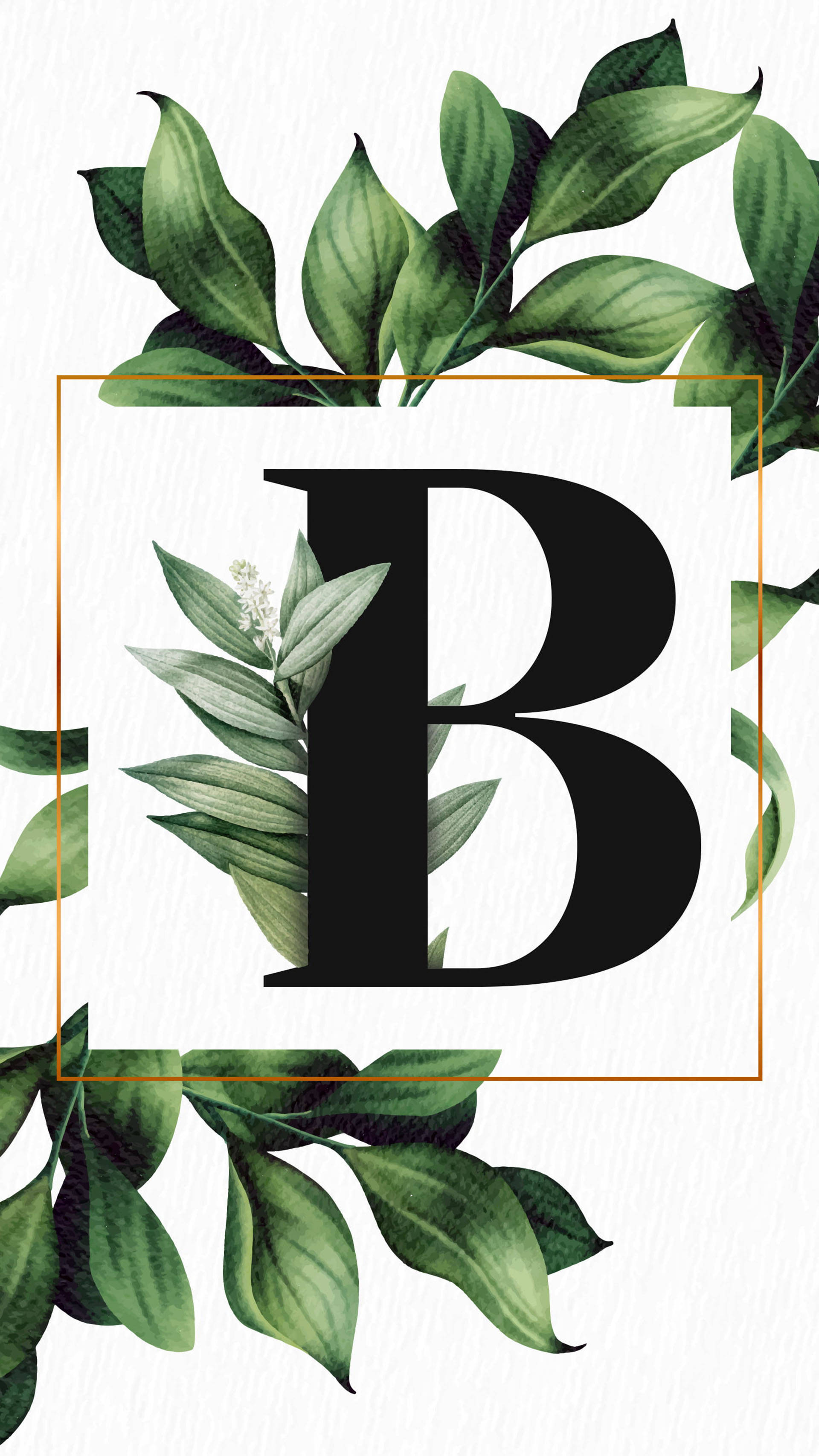 字母B 桌布 壁紙 — 一個粗體黑色字母B，被茂密的綠葉環繞，置於有紋理的白色背景上。