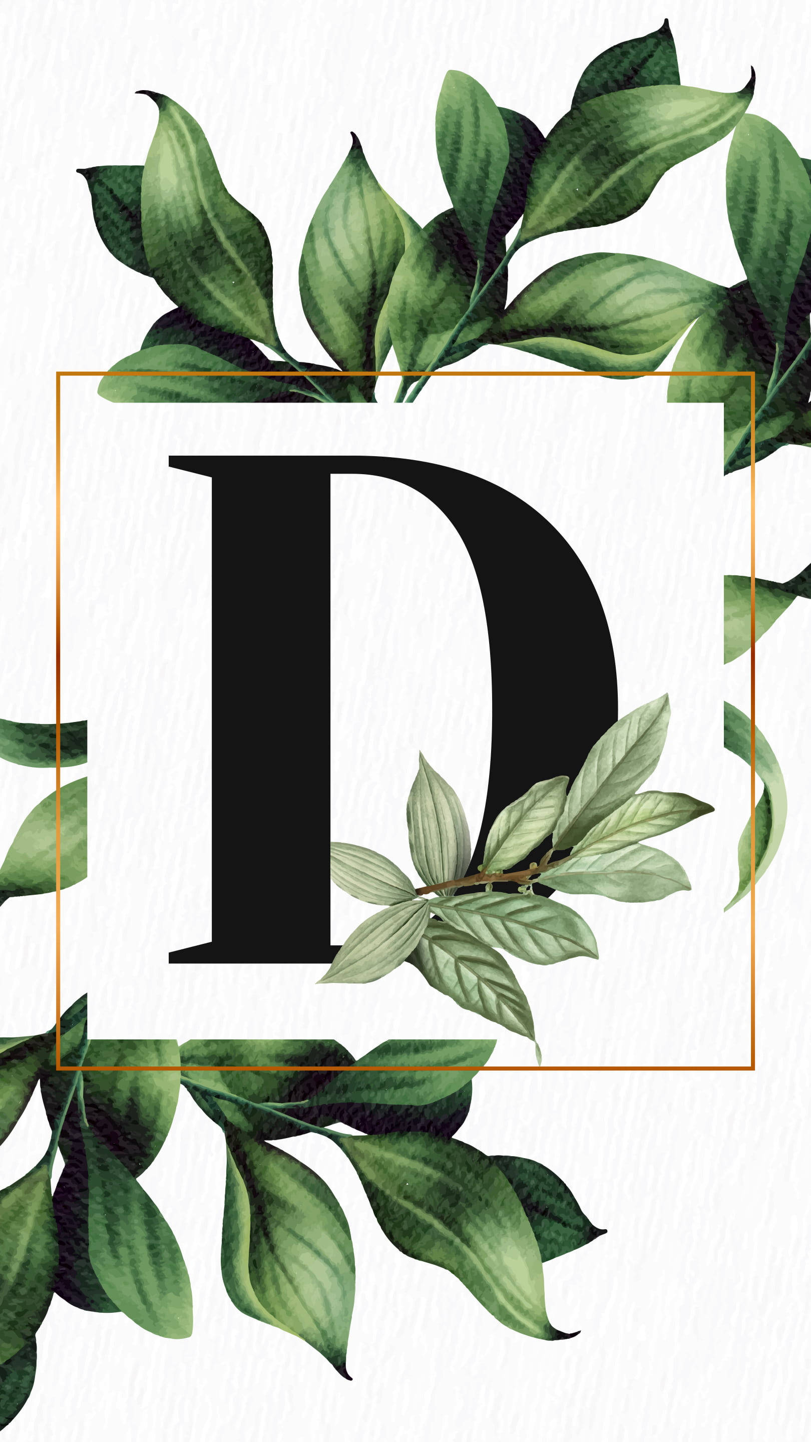 Tropical 桌布 壁紙 — 一個粗體黑色字母D，周圍環繞著茂密的綠葉，背景為帶紋理的白色。