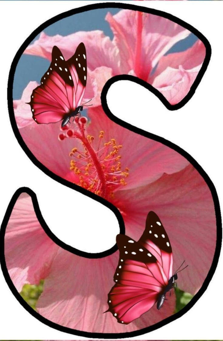 S 桌布 壁紙 — 一個粗體黑色字母S框住一朵充滿活力的粉紅色木芙蓉，兩隻粉紅色和黑色的蝴蝶在雄蕊附近飛舞。