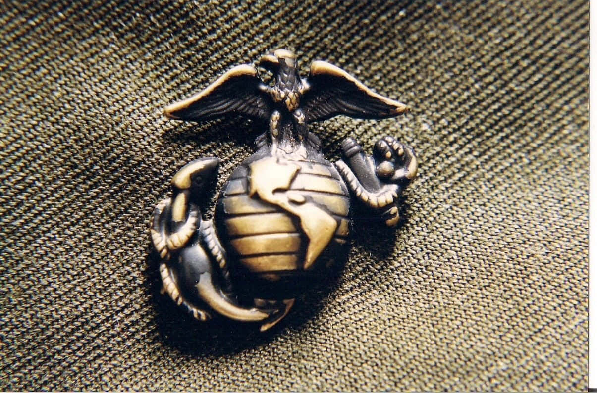 Marine 桌布 壁紙 — 一個精細的青銅色美國海軍陸戰隊鷹、地球與船錨徽章，別在橄欖綠制服布料上。