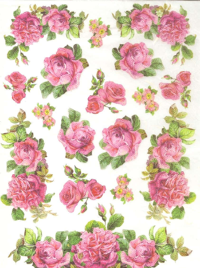 Vintage Rose 桌布 壁紙 — 一個精緻的水彩圖案，粉紅玫瑰和綠葉散落在白色背景上。