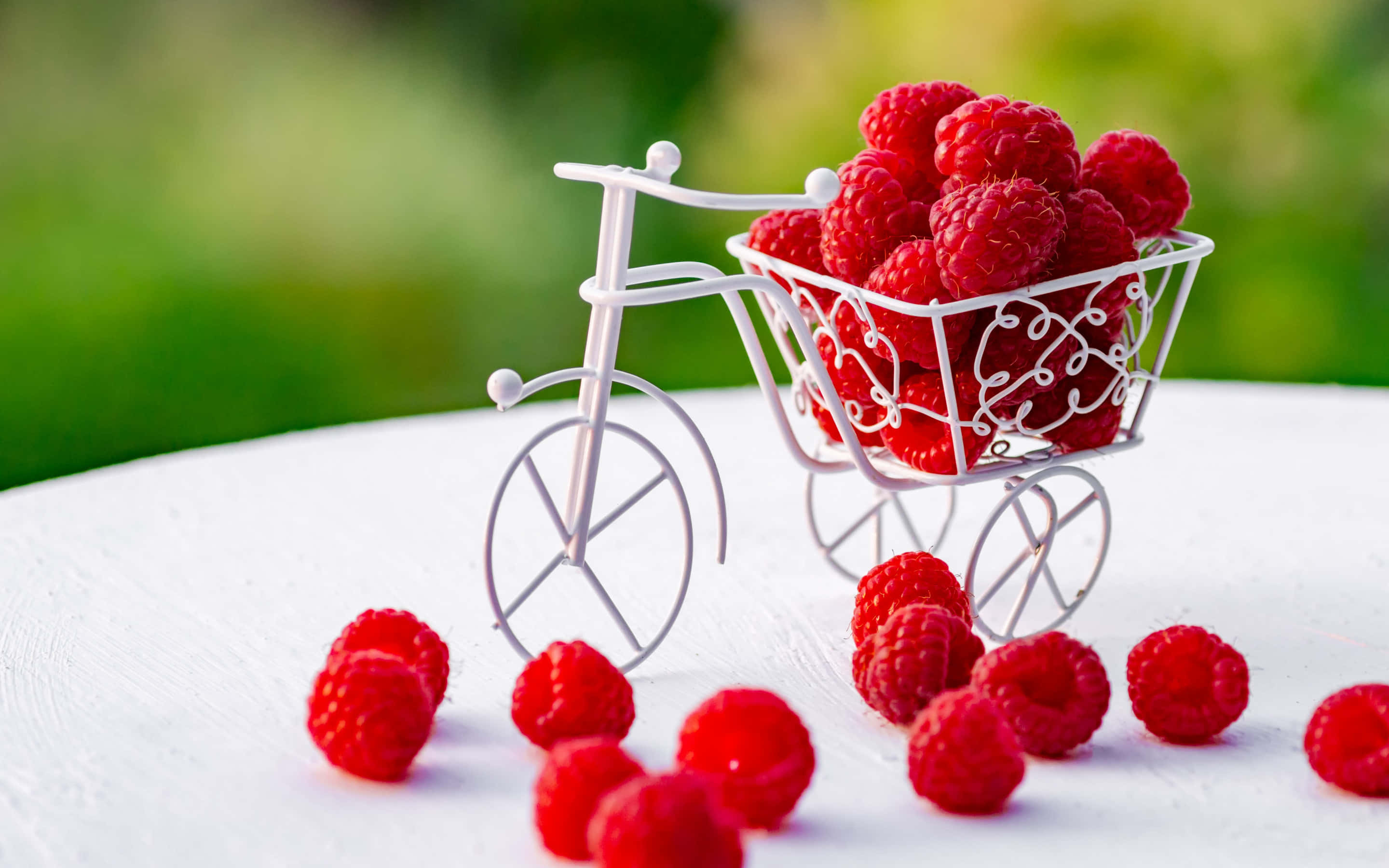 Raspberry 桌布 壁紙 — 一個精緻的白色鐵線腳踏車公仔，上面滿載鮮紅色的覆盆子，放在白色表面上，周圍散落著漿果，背景是柔和的綠色模糊效果。