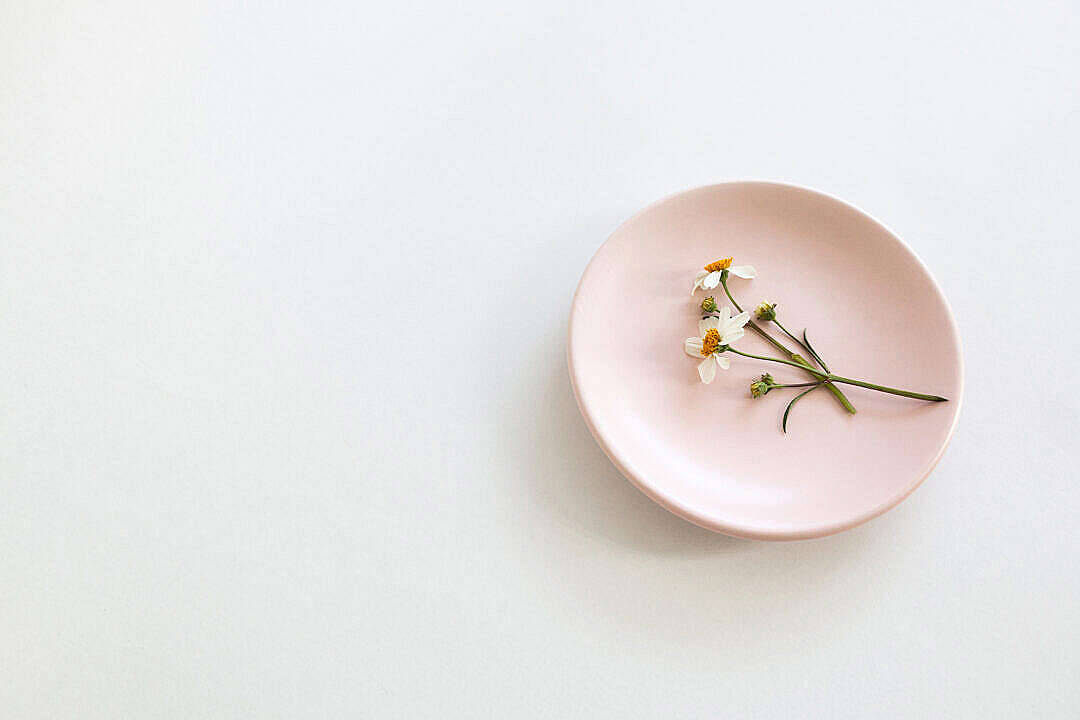 Pastel Pink Aesthetic 桌布 壁紙 — 一個精緻的粉紅色陶瓷盤上放著一小束白色雛菊，花心黃色，襯托在簡約的白色背景上。