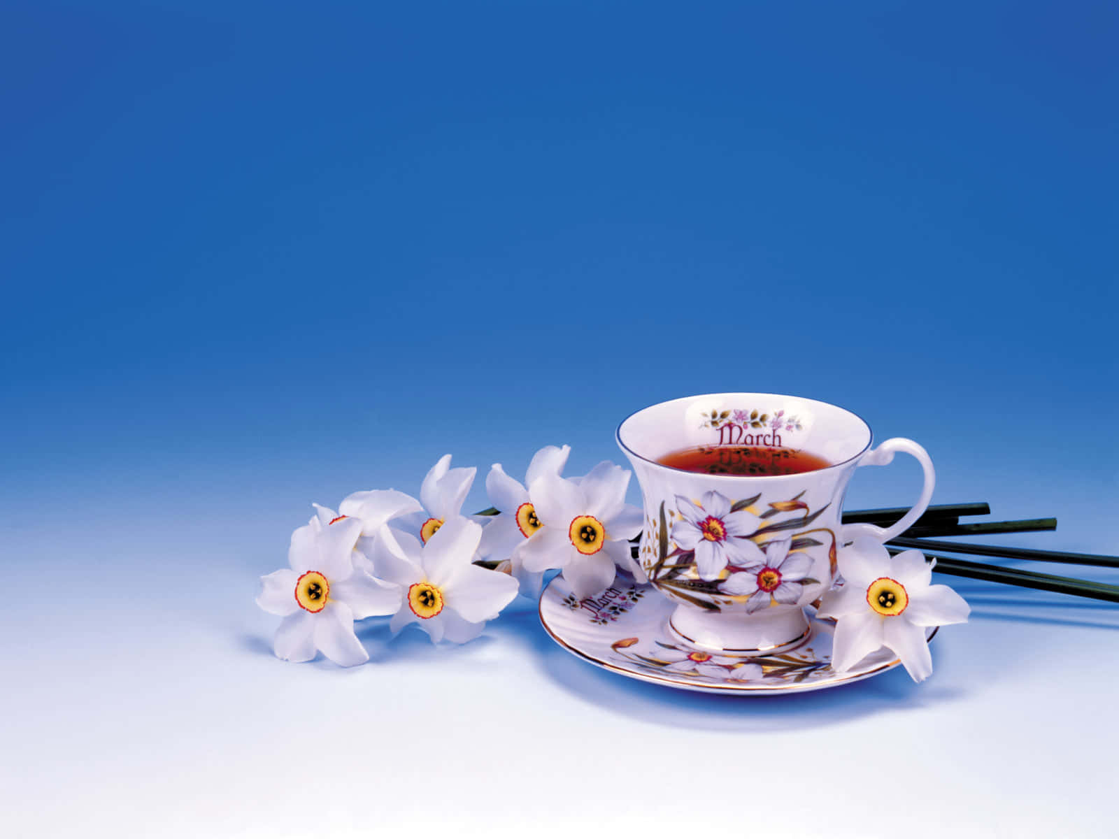 Floral Tea 桌布 壁紙 — 一個精緻的花卉茶杯盛滿茶，旁邊放著新鮮的水仙花，背景是寧靜的藍色漸變。