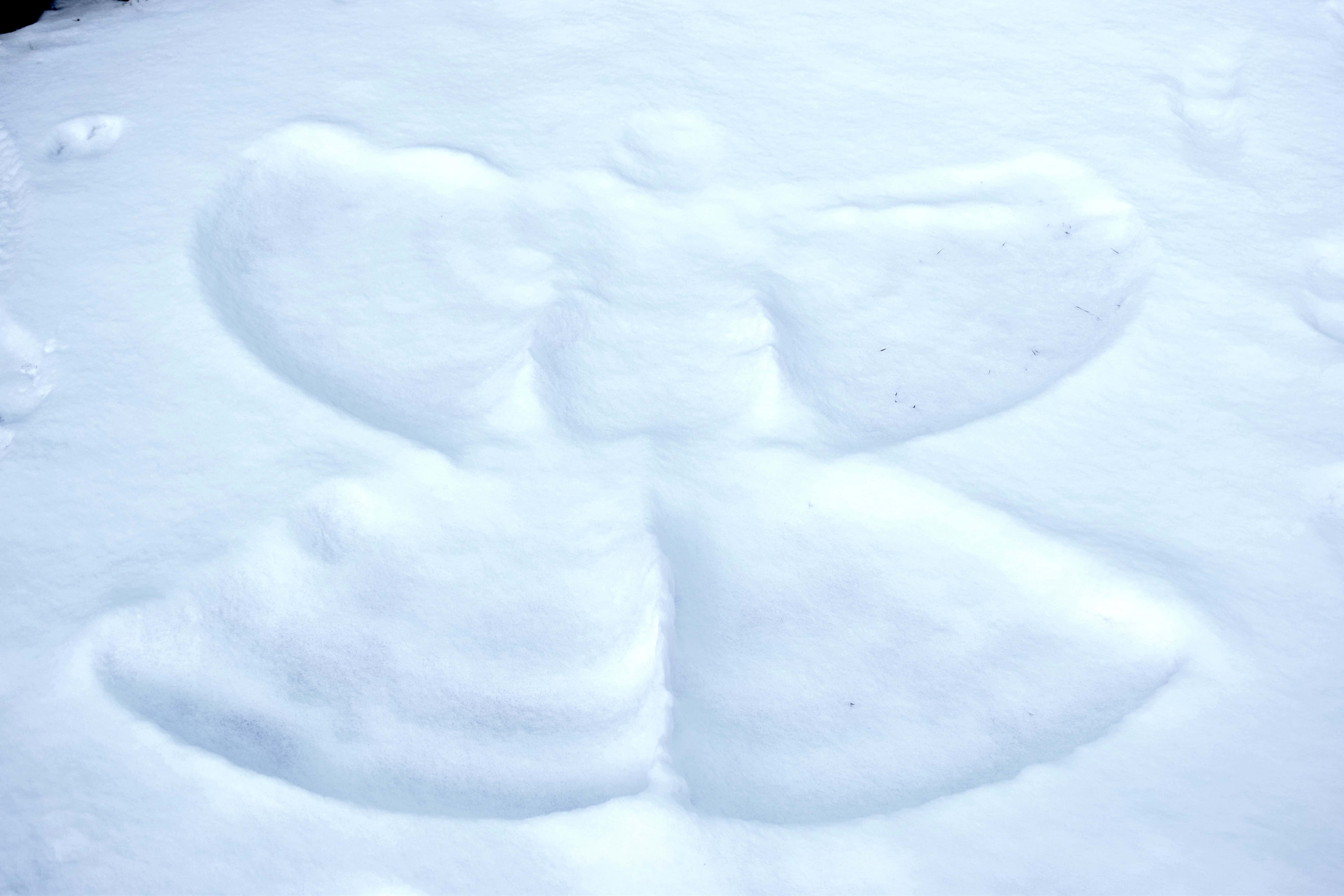 Snow Angel 桌布 壁紙 — 一個精緻的雪天使壓在潔白的新雪上，帶有柔軟紋理的翅膀和身體。