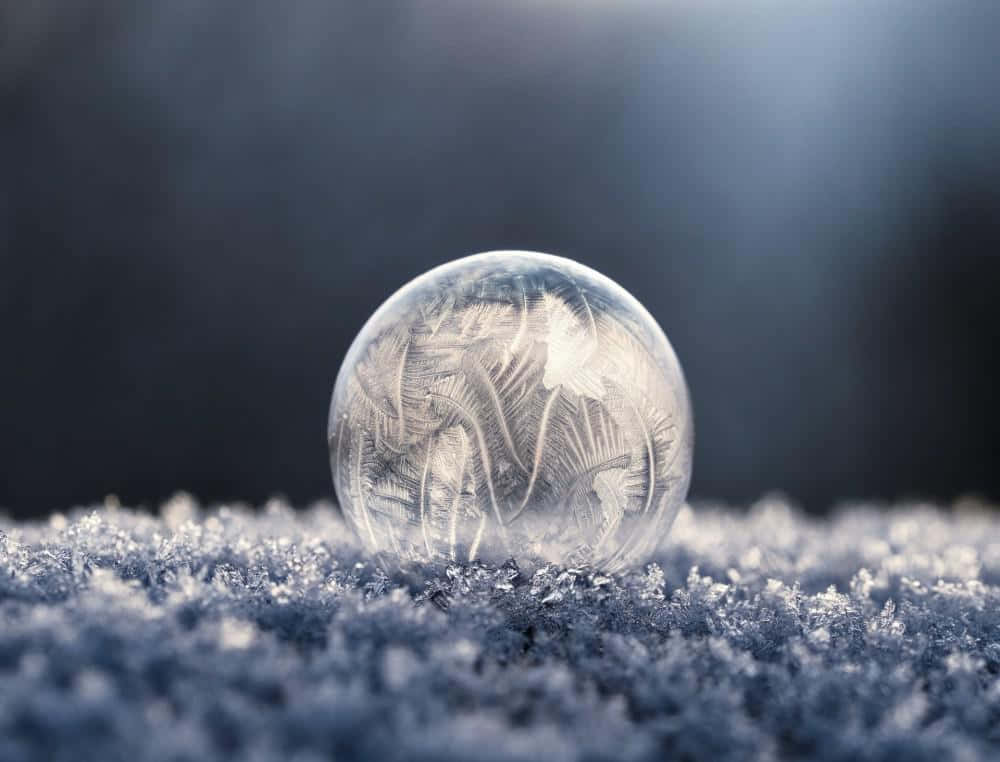 Ice 桌布 壁紙 — 一個精緻的霜覆蓋氣泡在柔和的冬日陽光下，停留在雪地上。