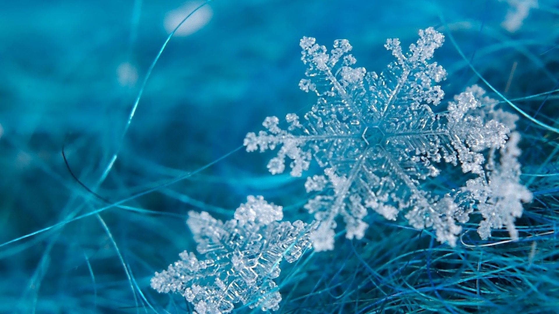 雪花 桌布 壁紙 — 一個精緻複雜的雪花在柔和的燈光下，躺在藍色纖維材料上。
