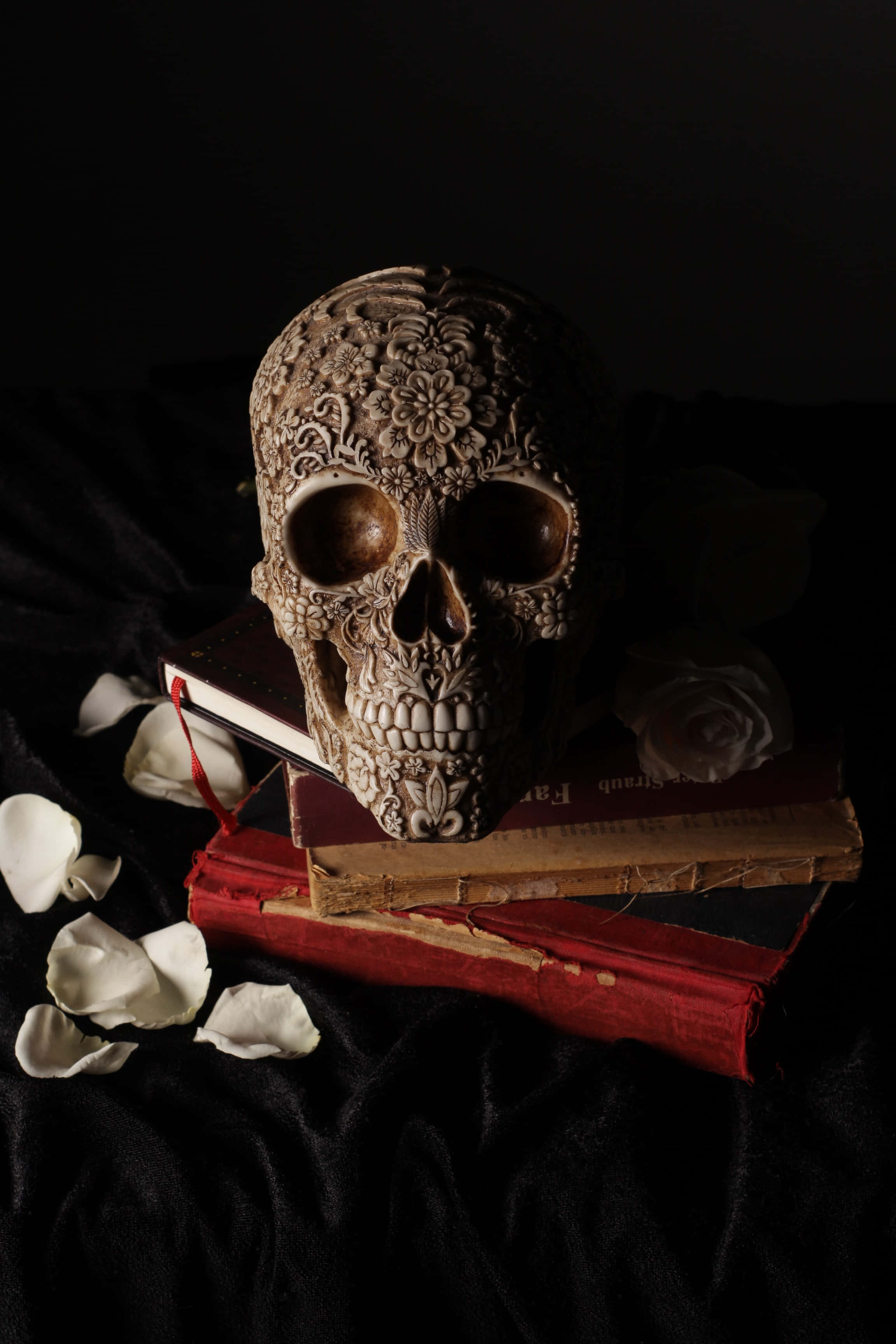 Halloween Skeleton 桌布 壁紙 — 一個精雕細琢的糖骷髏頭放在復古書籍上，周圍環繞著黑色天鵝絨上的白色玫瑰花瓣。