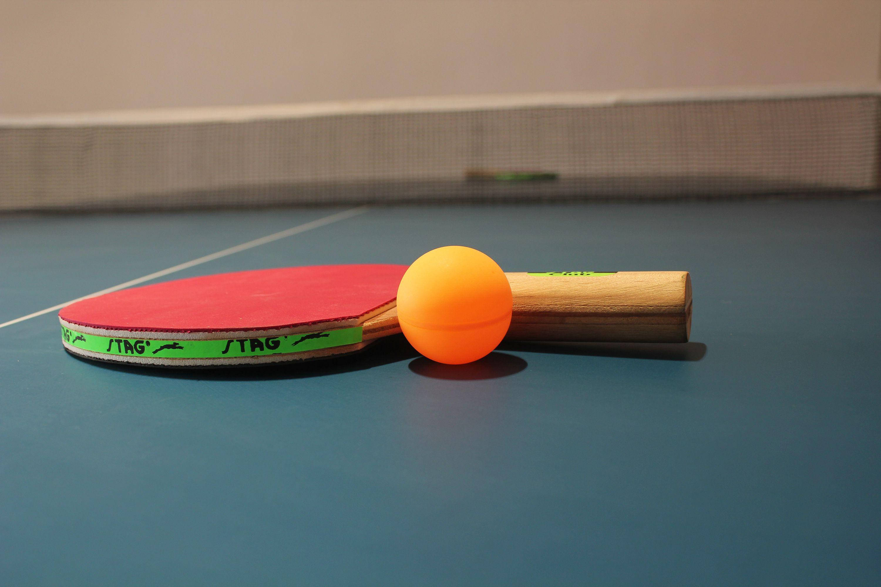 Table Tennis 桌布 壁紙 — 一個紅綠色的乒乓球拍和一個橙色球放在藍色桌子上，靠近球網。