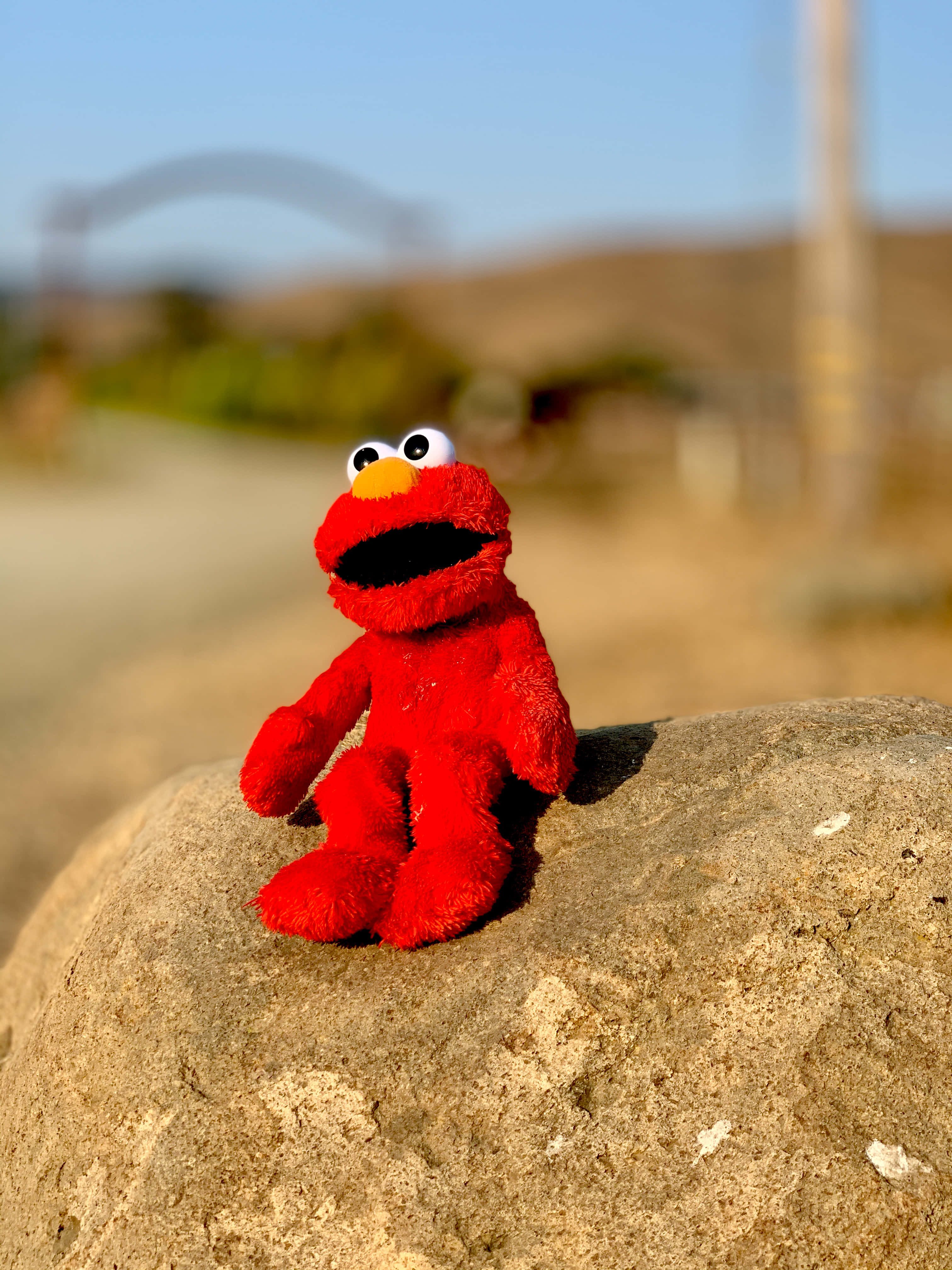 Elmo 桌布 壁紙 — 一個紅色 Elmo 毛絨玩具愉快地坐在陽光照射的石頭上，背景是模糊的戶外景色。