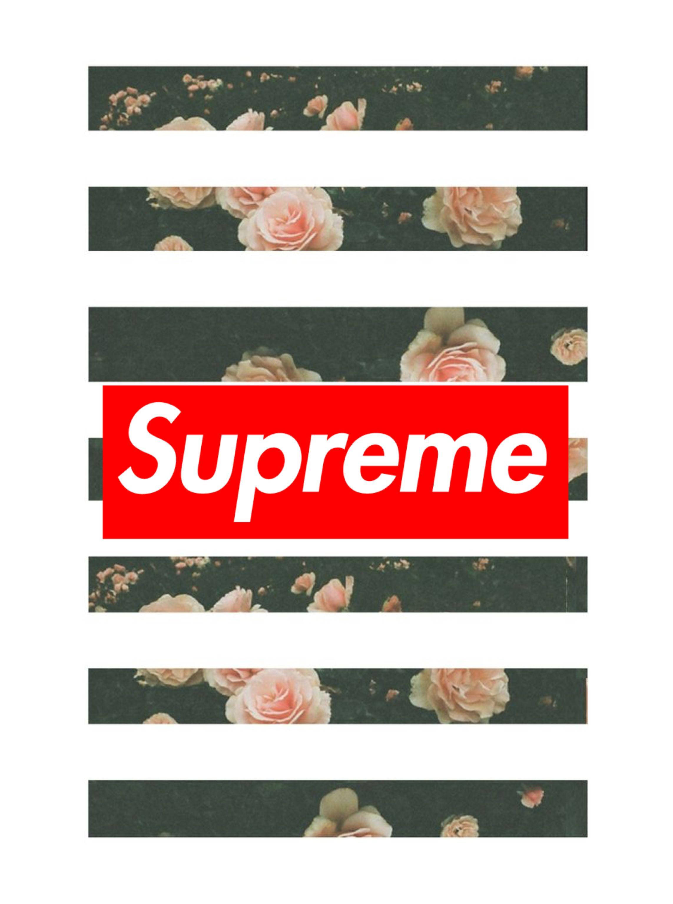 supreme aesthetic 桌布 壁紙 — 一個紅色Supreme標誌置中於深綠色背景上褪色粉紅玫瑰的條紋背景。