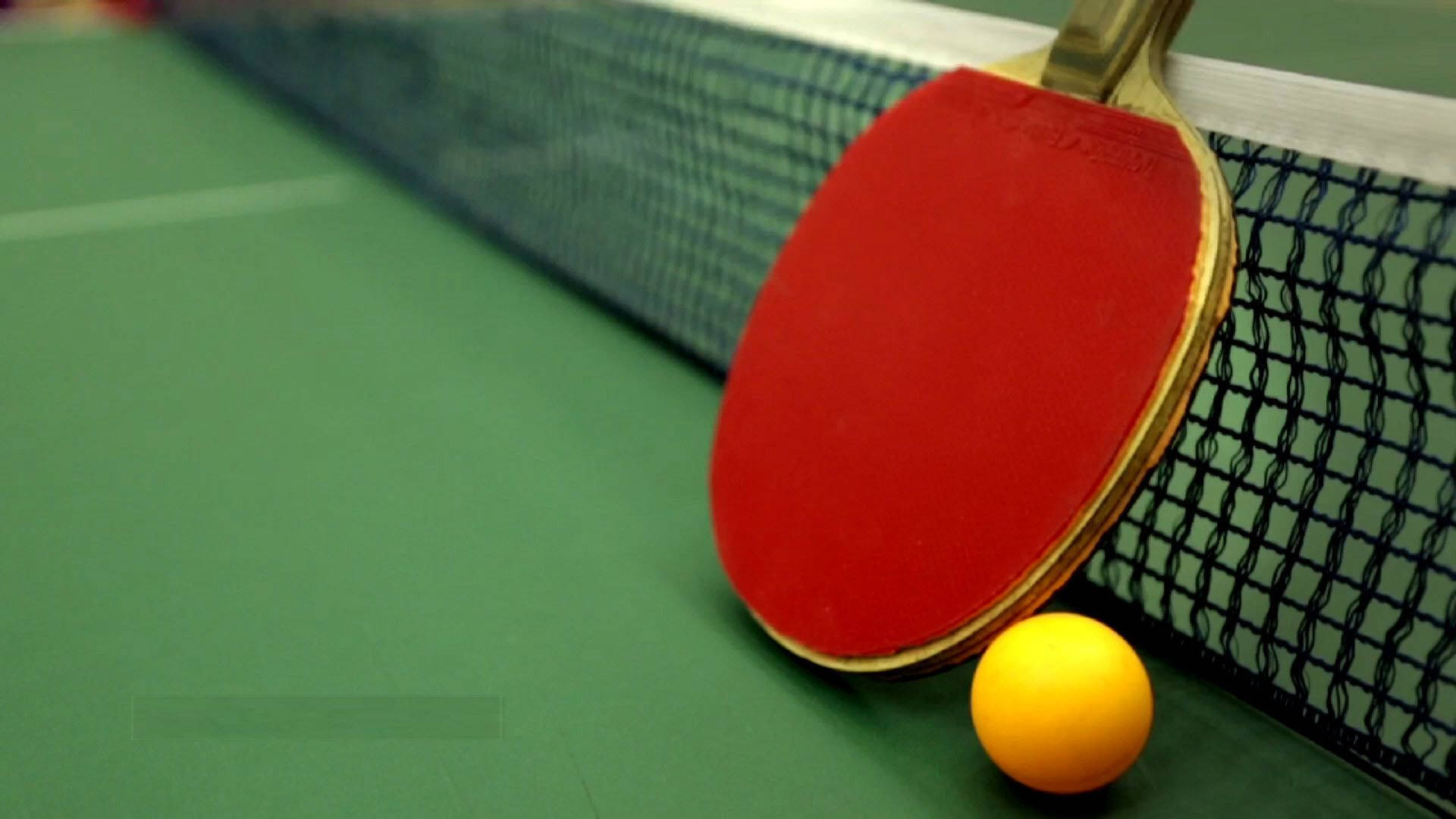 Table Tennis 桌布 壁紙 — 一個紅色乒乓球拍和一個黃色球放在綠色球桌上，網旁邊，對焦清晰。