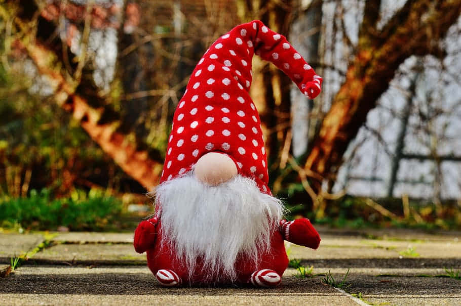 Christmas Gnome 桌布 壁紙 — 一個紅色圓點圖案、留著白鬍子的地精坐在一條石徑上，周圍是光禿禿的樹木。