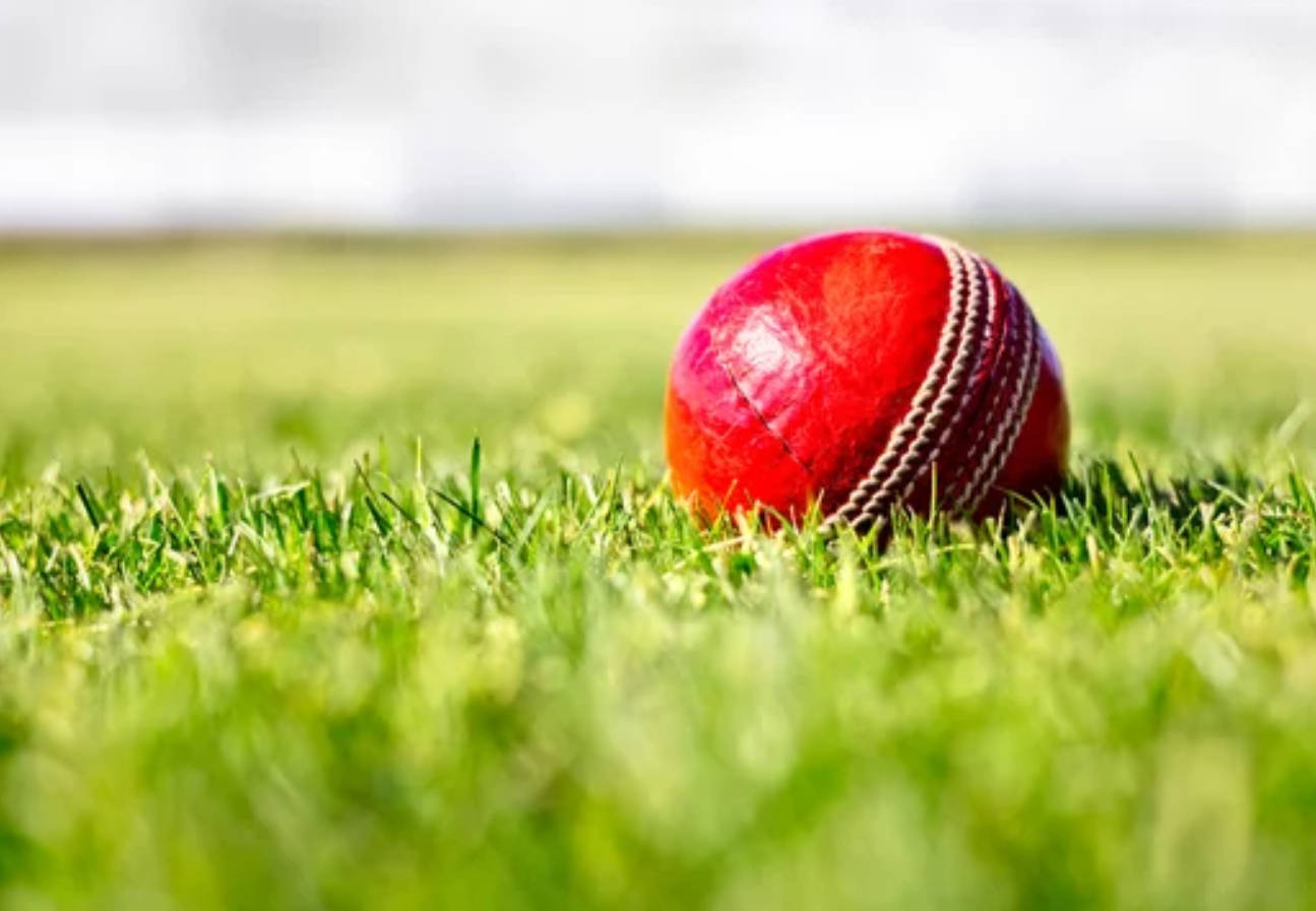 Cricket Ground 桌布 壁紙 — 一個紅色板球在鮮綠色草地上的特寫，在明亮的日光下。