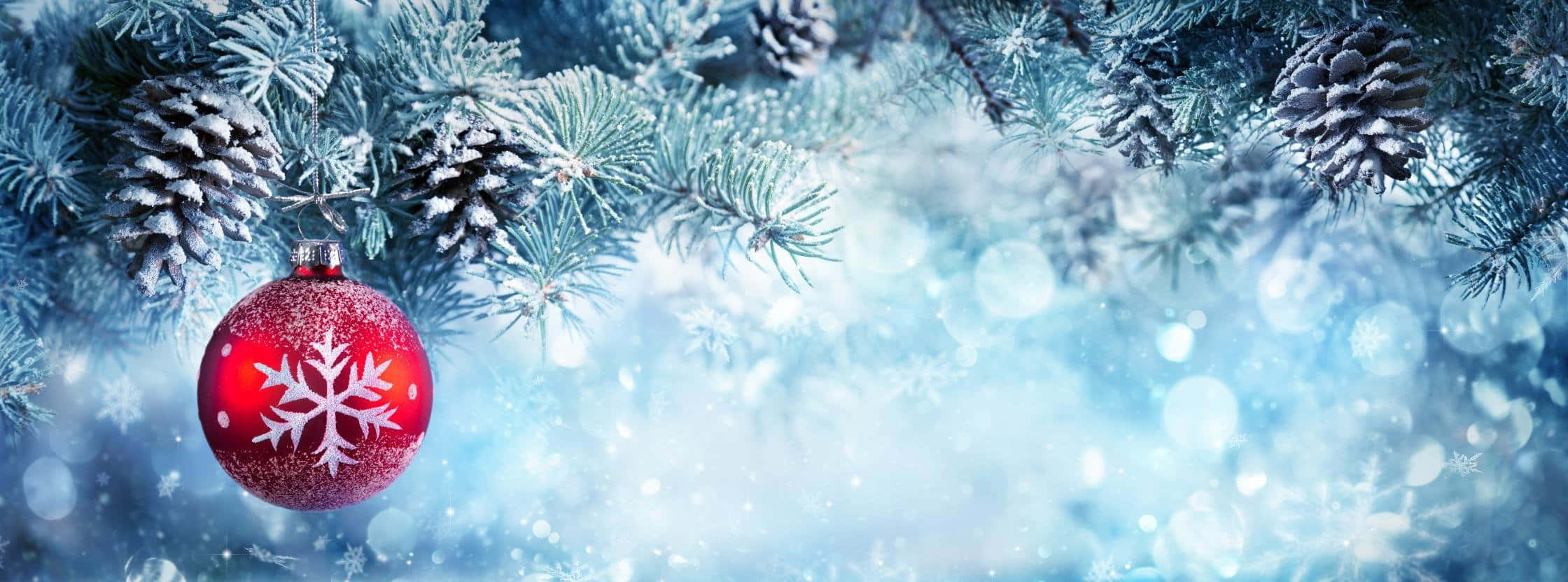聖誕節 桌布 壁紙 — 一個紅色雪花裝飾品掛在結霜的松樹枝上，背景是閃爍的藍色冬日背景。