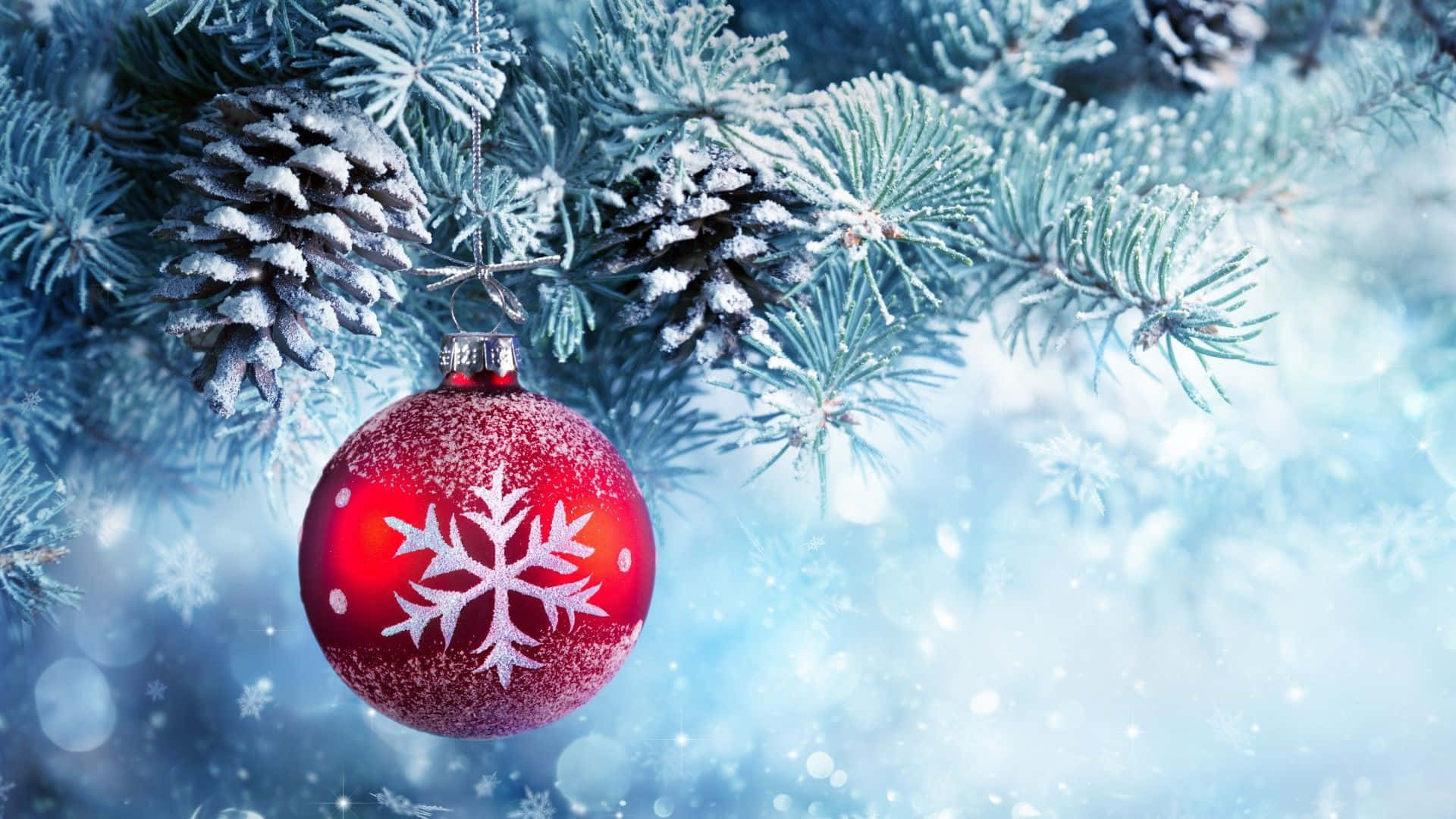 冬季聖誕 桌布 壁紙 — 一個紅色雪花裝飾品掛在結霜的松樹枝上，背景是柔和的藍色雪景。