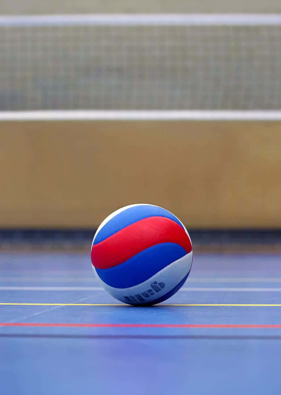 Volleyball Ball 桌布 壁紙 — 一個紅藍白色的排球放在藍色室內球場上，背景有模糊的網。