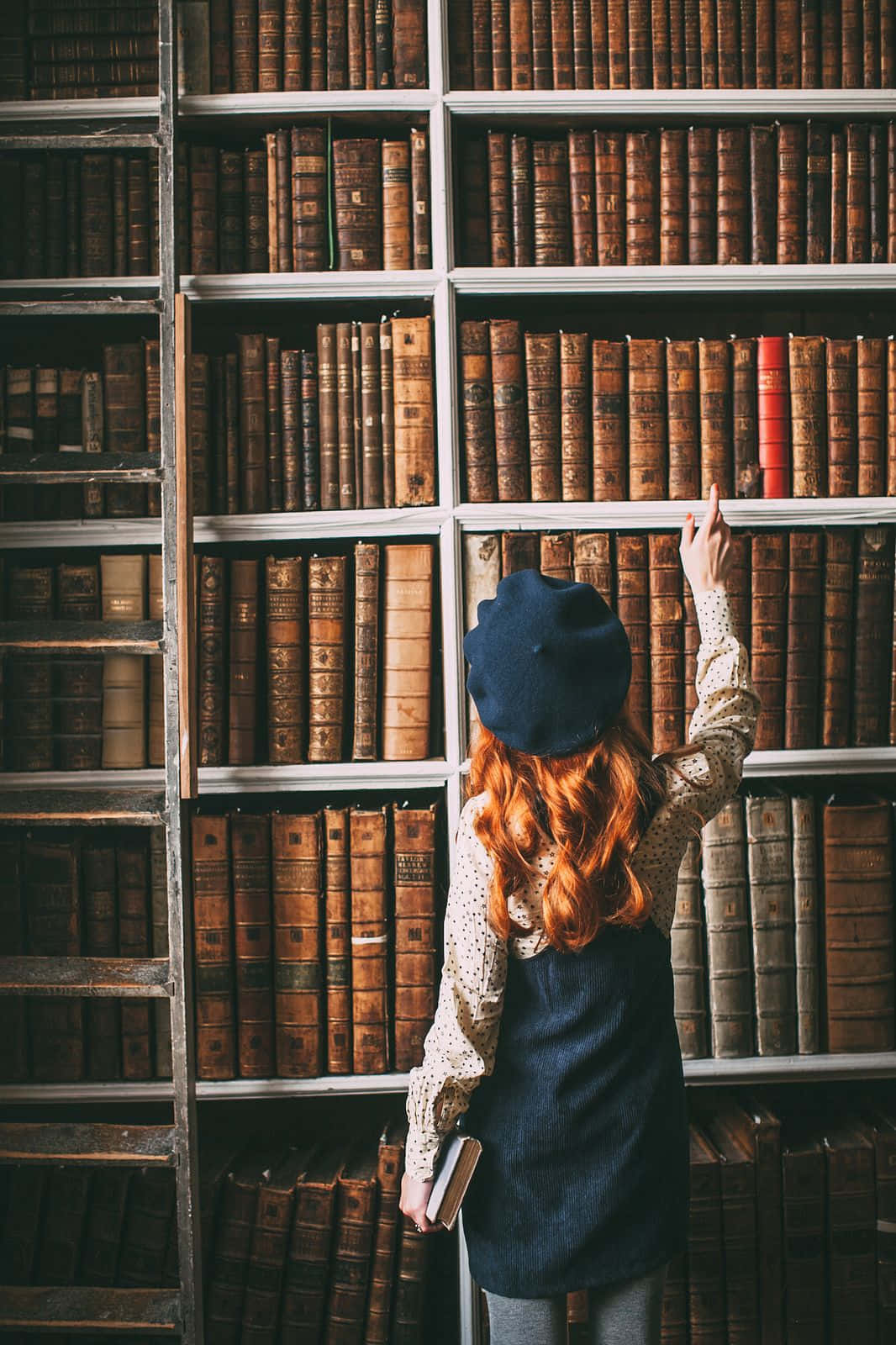 Library 桌布 壁紙 — 一個紅髮戴藍色貝雷帽的人伸手去拿一個高架上的一本紅色書，架上擺滿了舊皮面裝訂的書。
