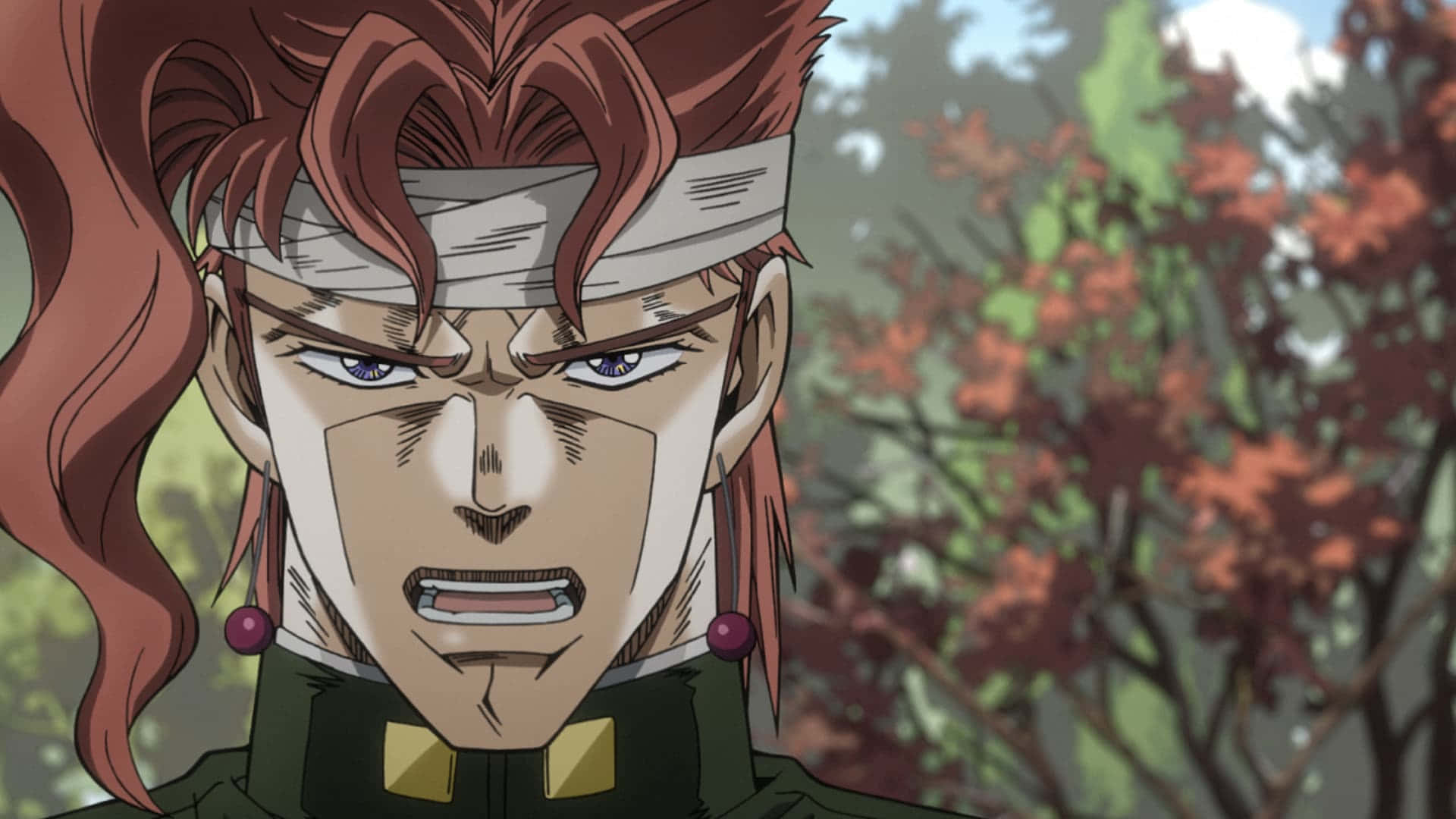 Stardust Crusaders 桌布 壁紙 — 一個紅髮戴頭帶的動漫角色，在模糊的秋樹背景下凝視著。