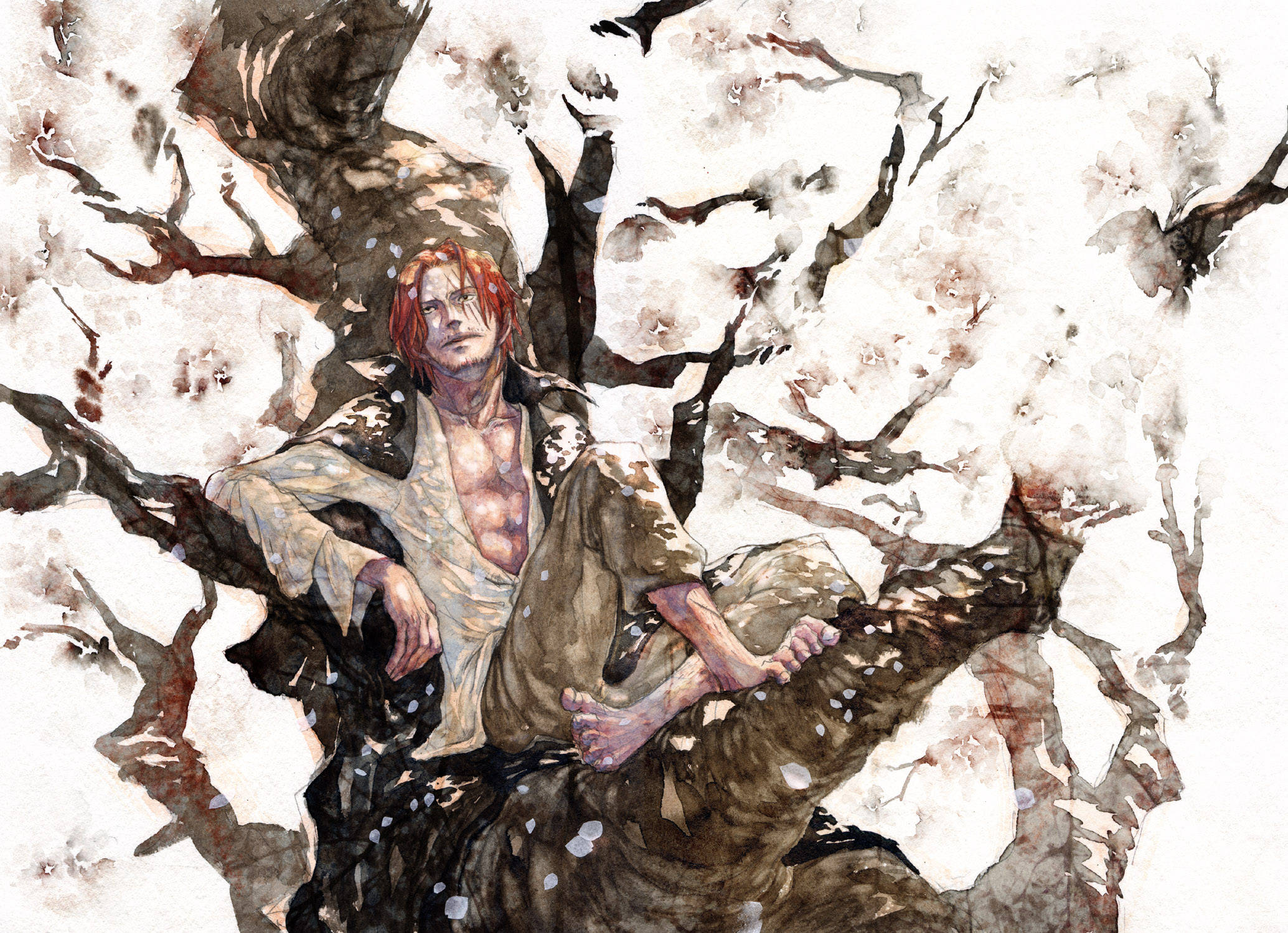 Shanks 桌布 壁紙 — 一個紅髮男子赤腳坐在彎曲的樹枝上，周圍是飄落的櫻花，水彩風格。