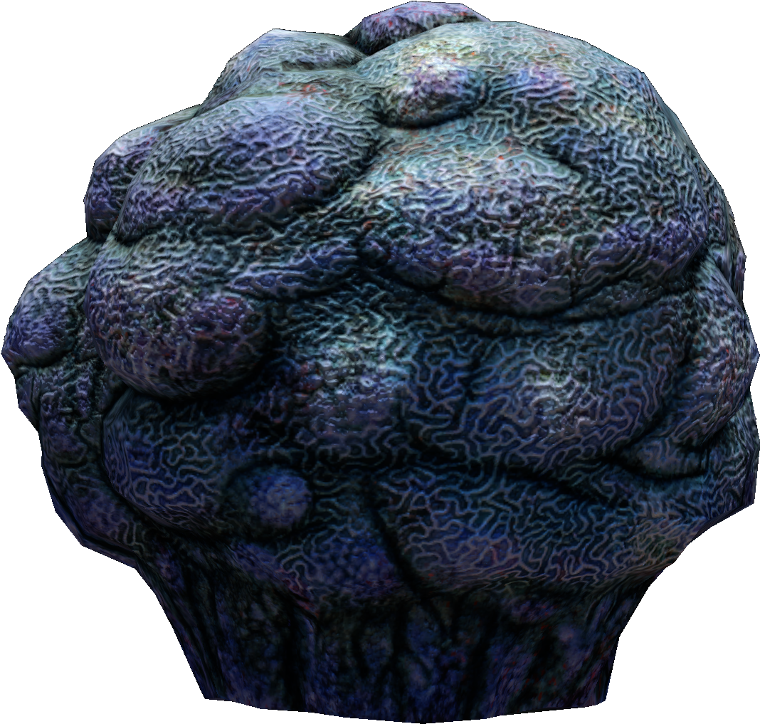 coral 桌布 壁紙 — 一個紋理化的外星大腦狀器官，帶有發光的藍色和紫色血管，背景為黑色。