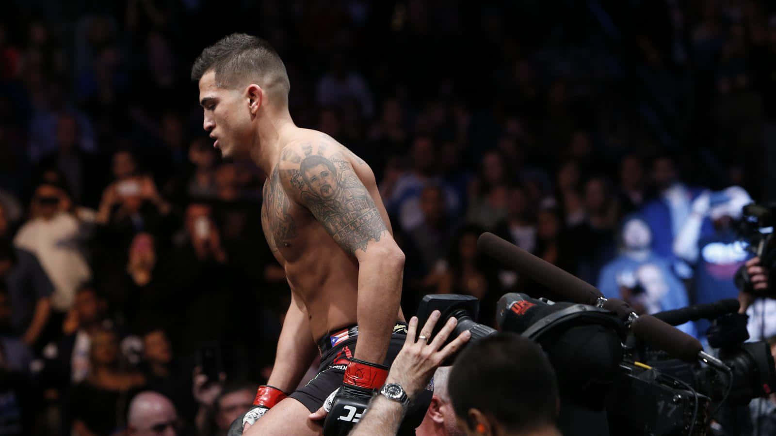 UFC 桌布 壁紙 — 一個紋身的赤裸上身拳手站在昏暗的競技場，比賽後鏡頭和手伸向他。