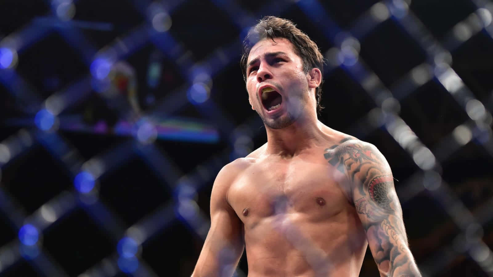 UFC 桌布 壁紙 — 一個紋身赤膊鬥士在燈火通明的八角籠內勝利咆哮。