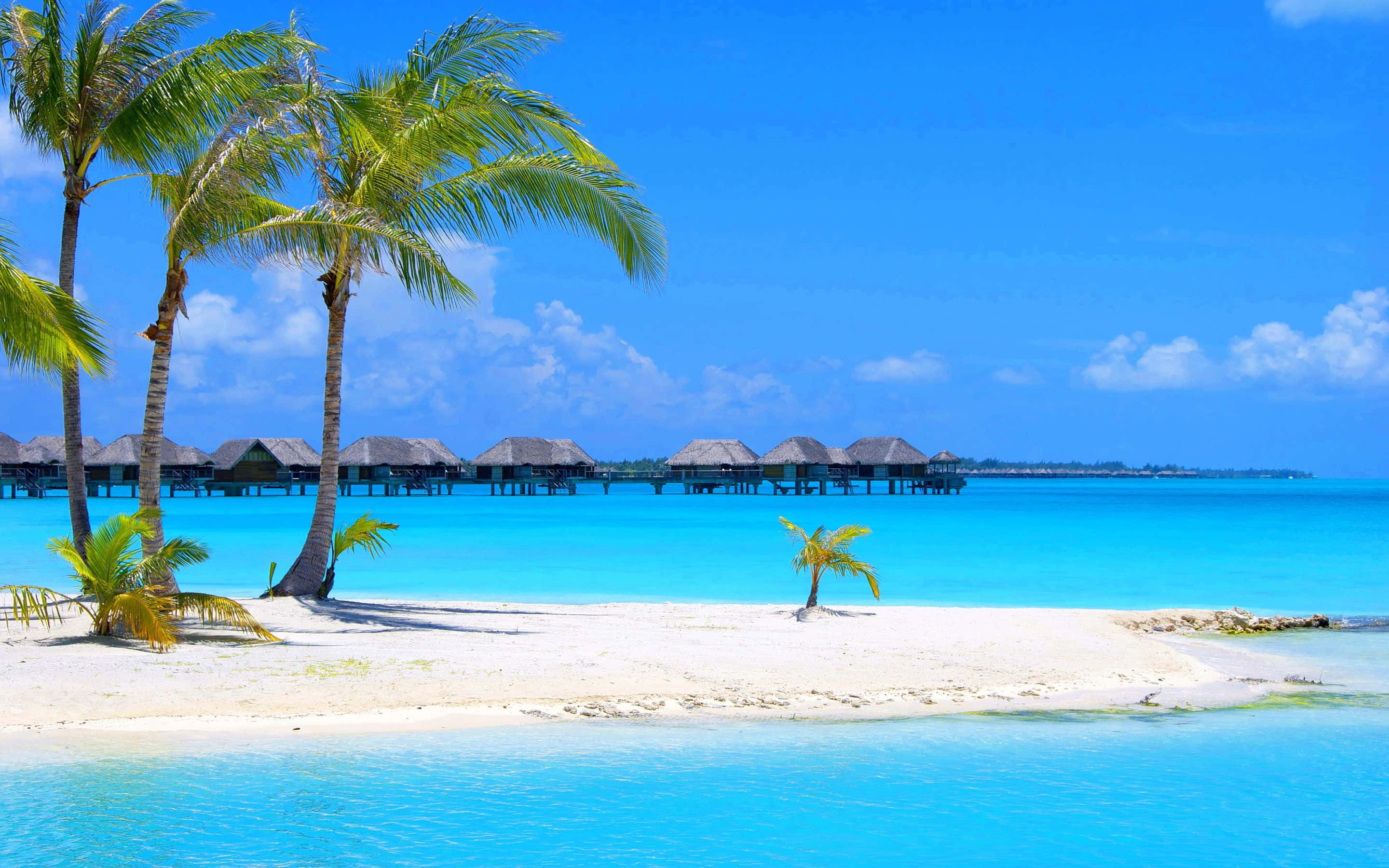 Bahamas Beach 桌布 壁紙 — 一個純淨的熱帶島嶼，擁有白色沙灘、碧綠海水和水上平房，在明亮的藍天下。