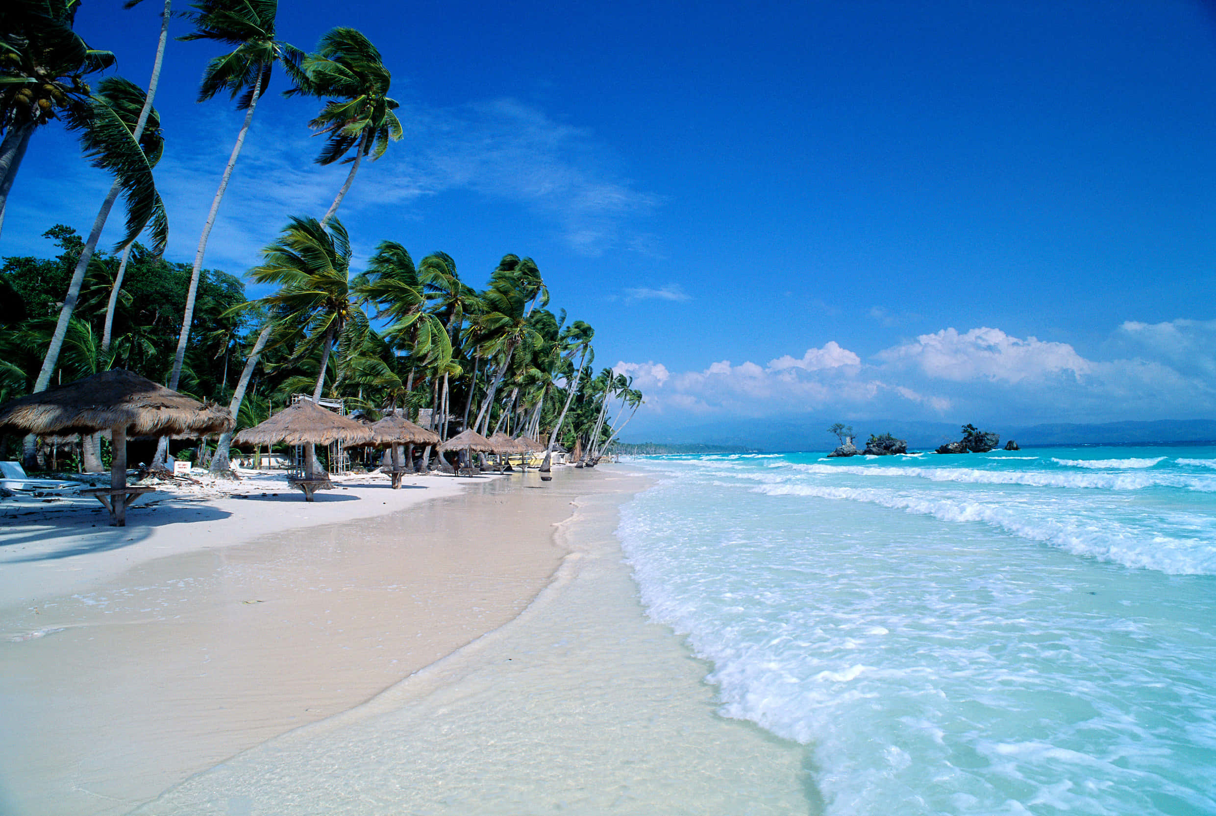 Beautiful Beach 桌布 壁紙 — 一個純淨的熱帶海灘，擁有白色沙灘、碧綠的海浪和搖曳的棕櫚樹，在明亮的藍天下。