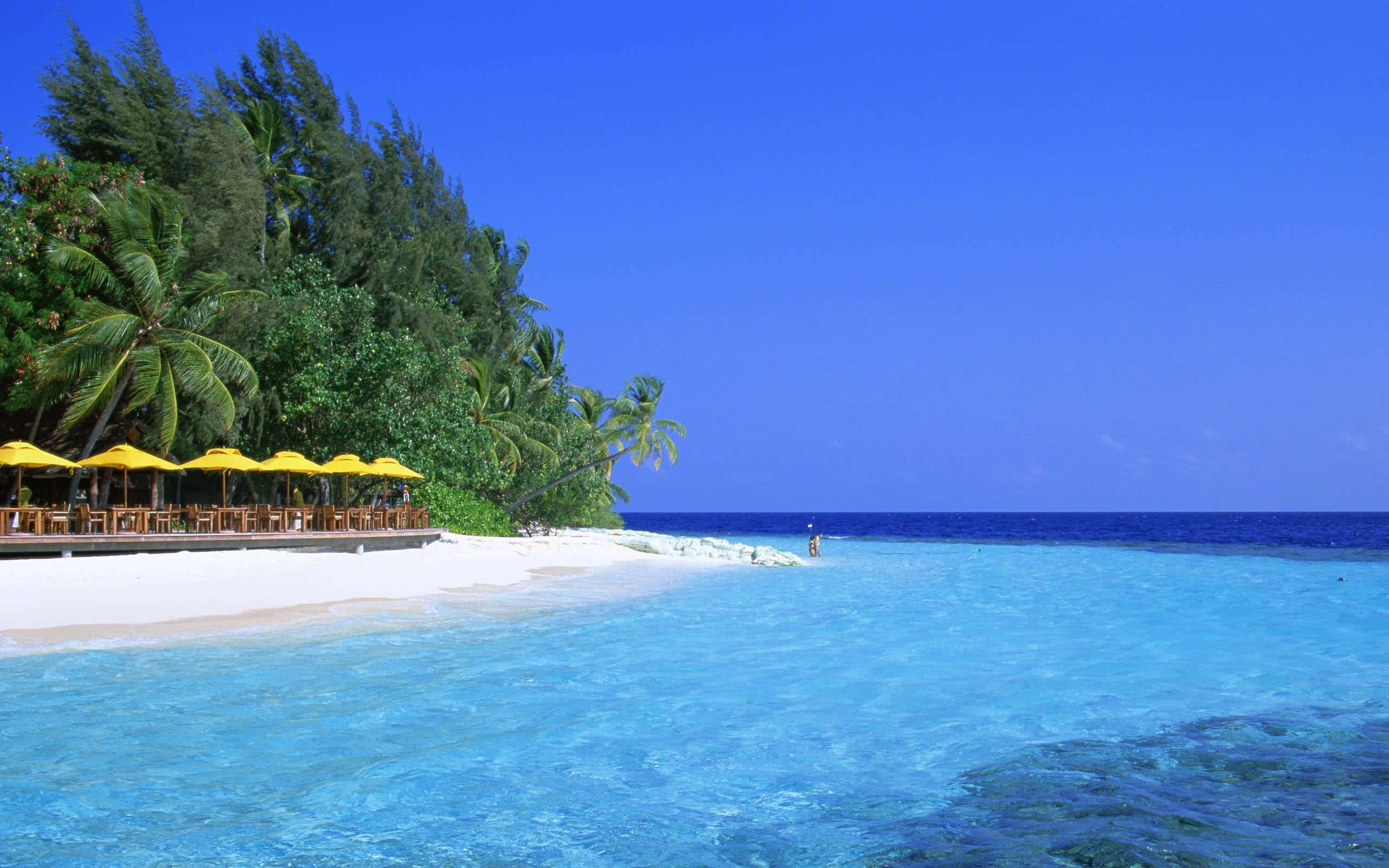Beach Desktop 桌布 壁紙 — 一個純淨的熱帶海灘，擁有碧綠的海水、白色的沙灘和黃色的遮陽傘，在清澈的藍天下。