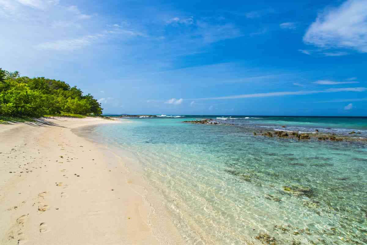 Caribbean Island 桌布 壁紙 — 一個純淨的熱帶海灘，白色沙灘在明亮的藍天下溫柔地彎向碧綠的海水。