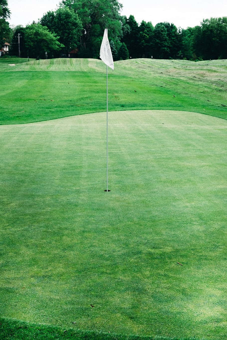 Augusta National iPhone 桌布 壁紙 — 一個純淨的高爾夫果嶺，中央有白色旗桿，周圍環繞著鬱鬱蔥蔥的起伏球道和茂密的樹木，天空多雲。