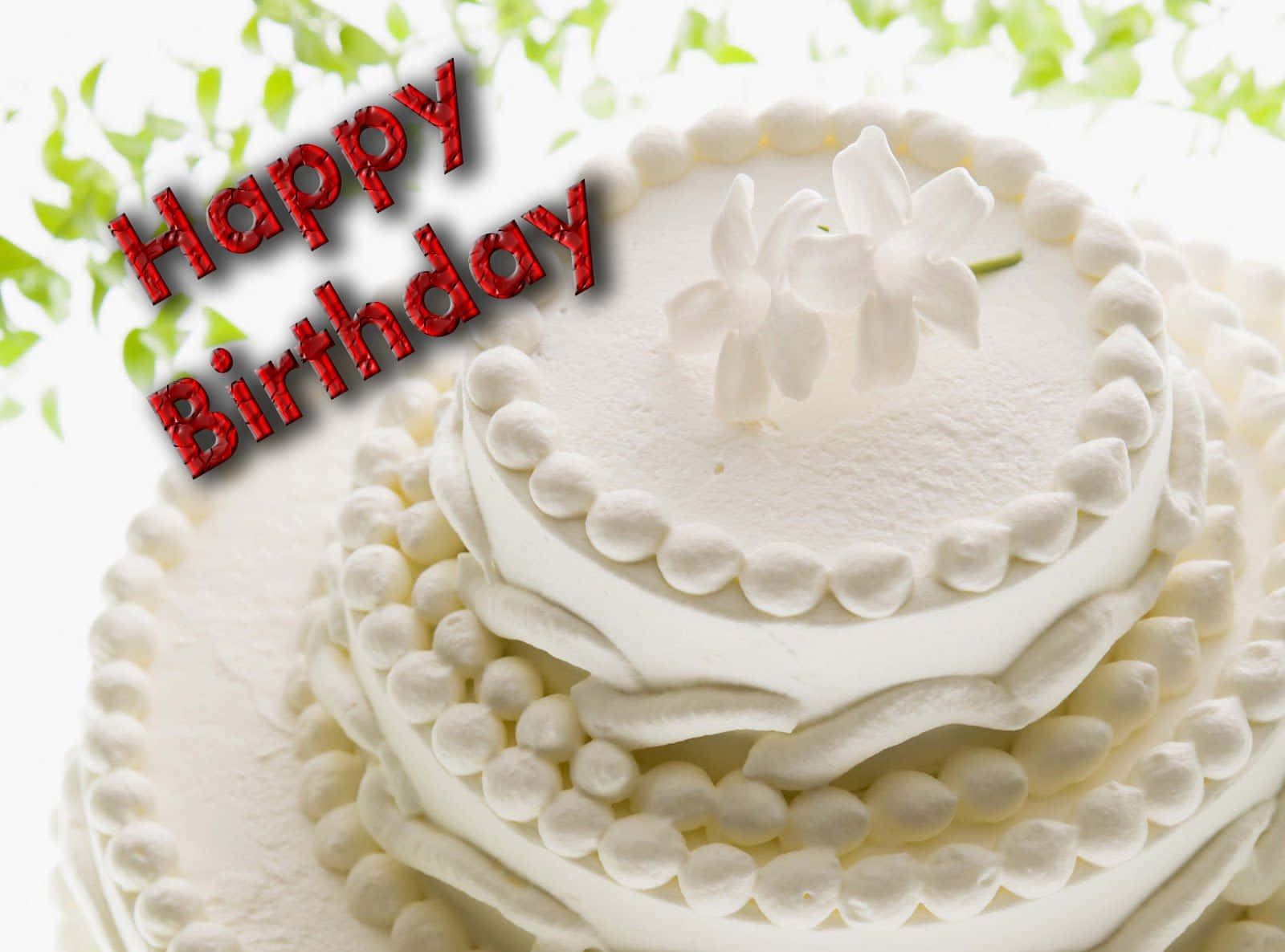 Birthday Wishes 桌布 壁紙 — 一個純白色的生日蛋糕，飾以擠花糖霜和精緻的白花，在綠色樹葉背景下，有醒目的紅色「Happy Birthday」文字。