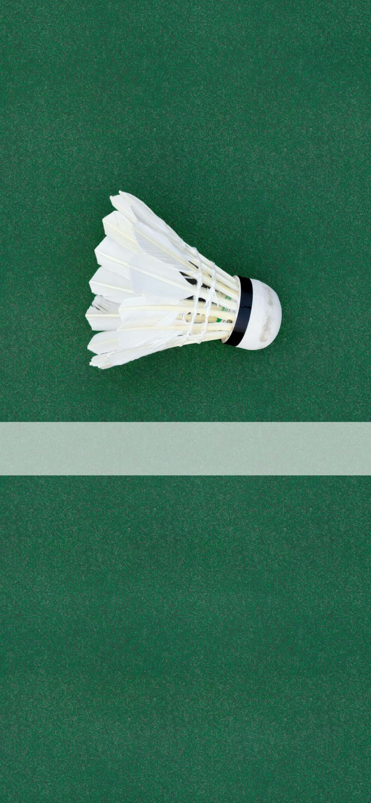 iPhone Xs Max Badminton 桌布 壁紙 — 一個純白色的羽毛球放在充滿活力的綠色羽毛球場地表面中央。