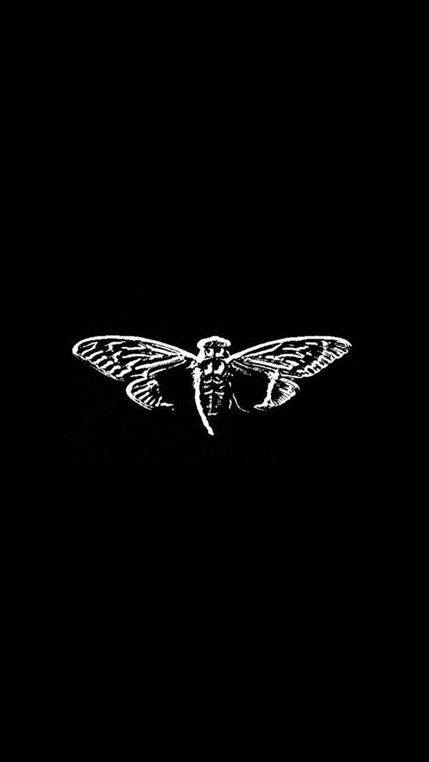 Cicada 桌布 壁紙 — 一個純黑色背景中央，展翅蟬的鮮明白色詳細插圖。