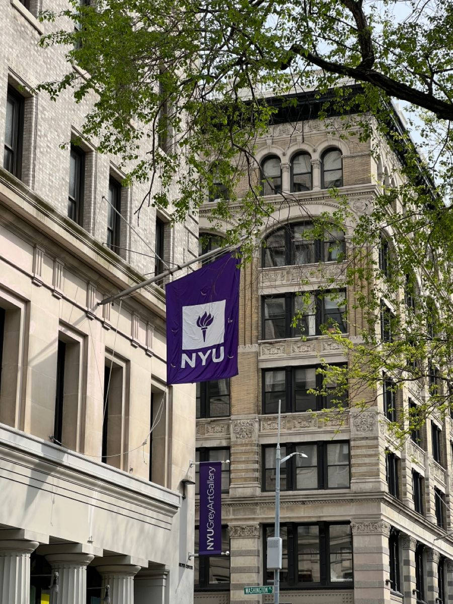 樹木 桌布 壁紙 — 一個紫色的NYU橫幅掛在歷史悠久的石建築之間，由綠樹枝葉框住，在陽光明媚的日子裡。